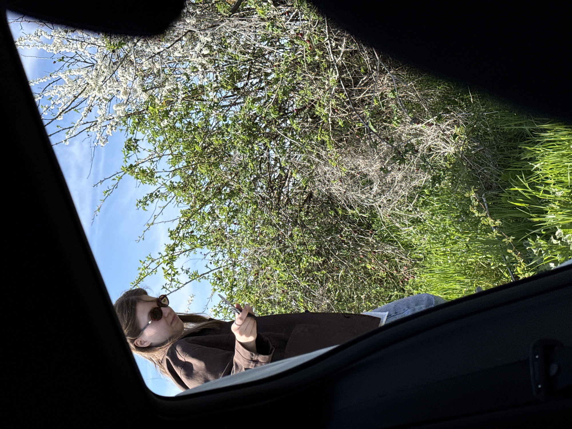 Person picks flowers near car in Serbian countryside