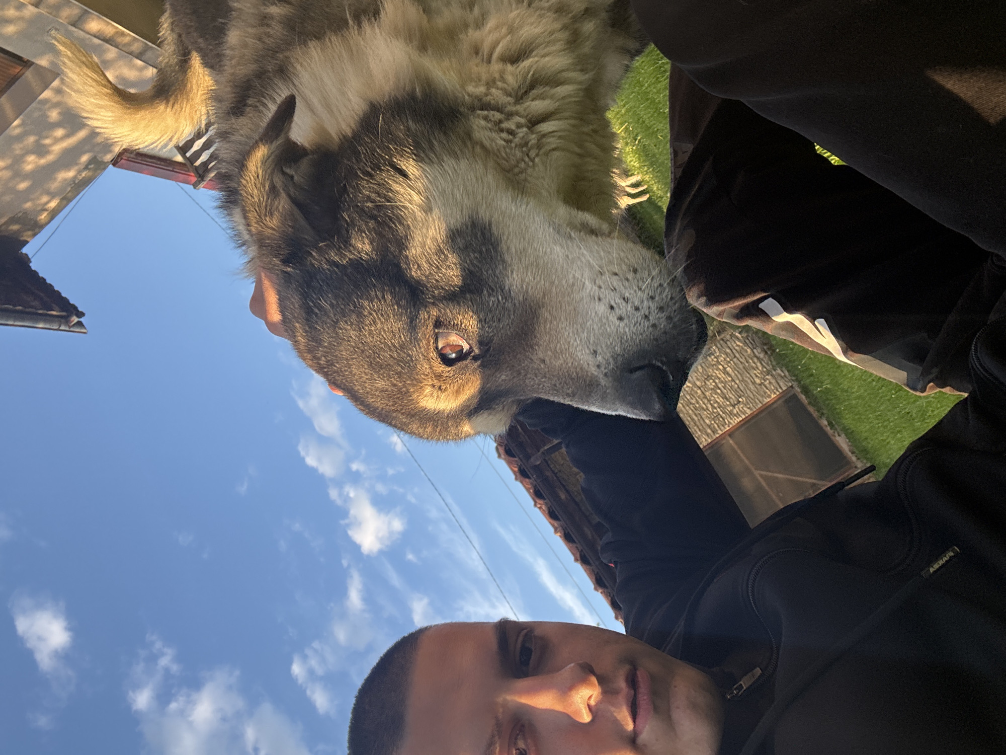 Person documents pet interactions and sword in Goritsa yard