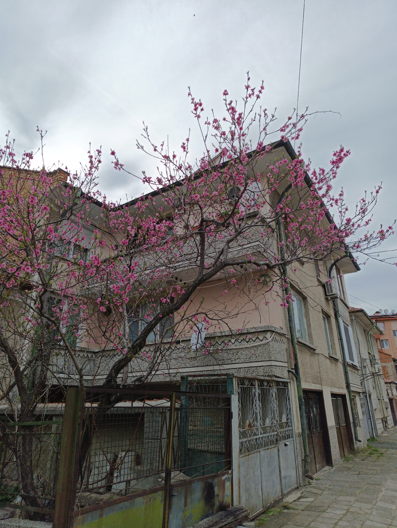 Witness documents quiet street scenes in Karnobat, Bulgaria