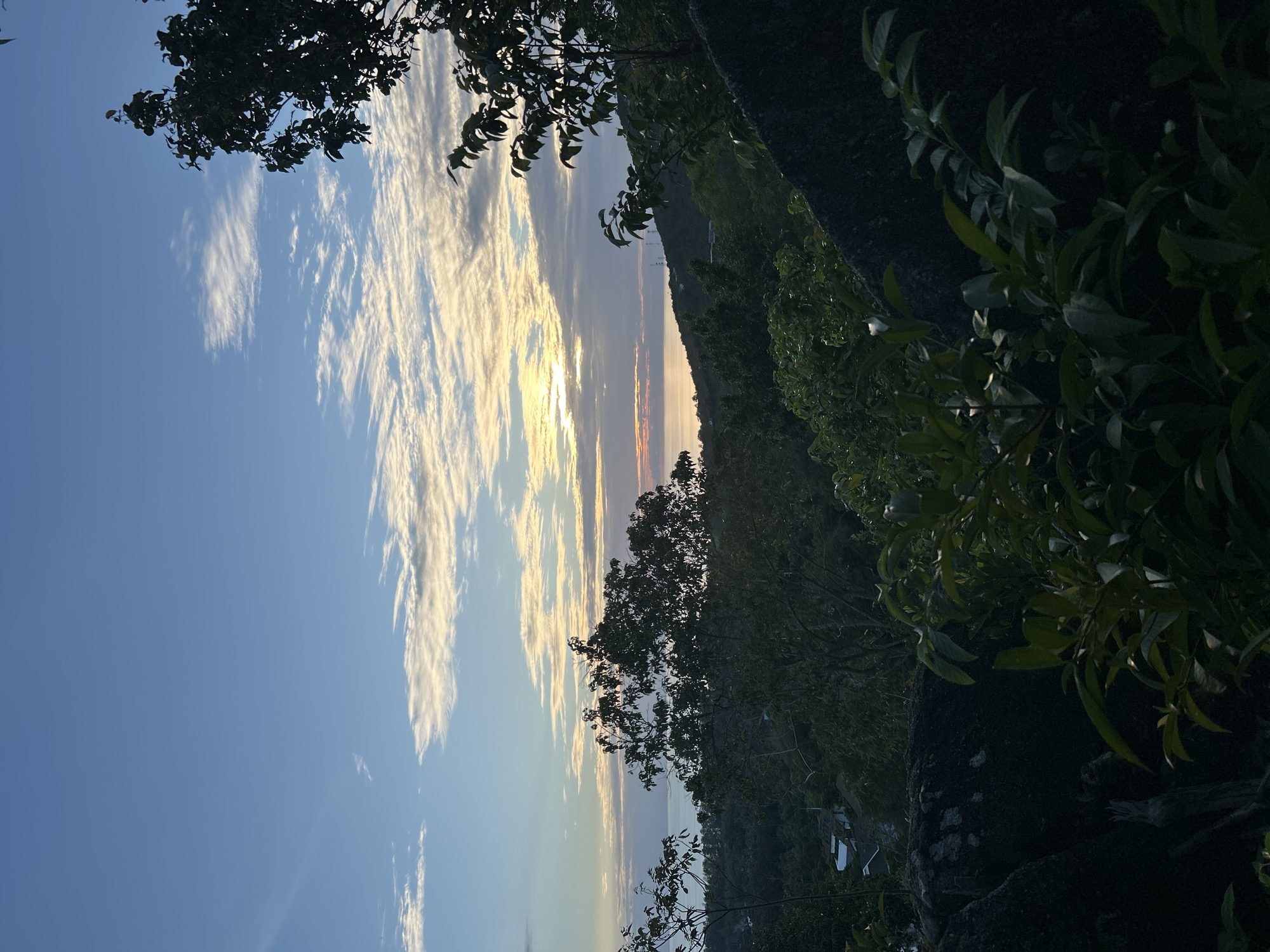 Casual moments captured across Koh Phangan island during morning hours