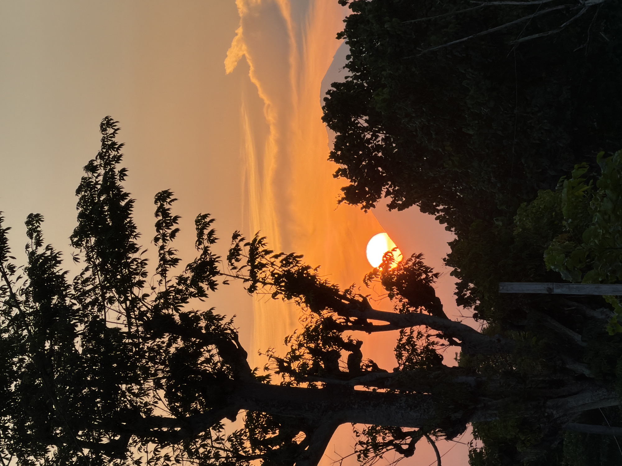Sunset through trees and mountains in Wotgalih, Indonesia
