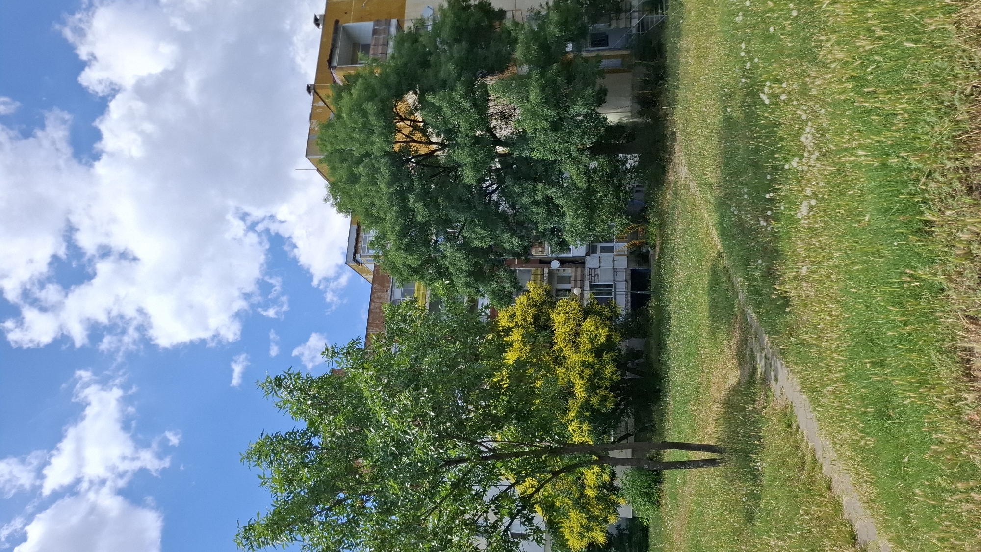 Quiet residential complex in Plovdiv on a summer afternoon