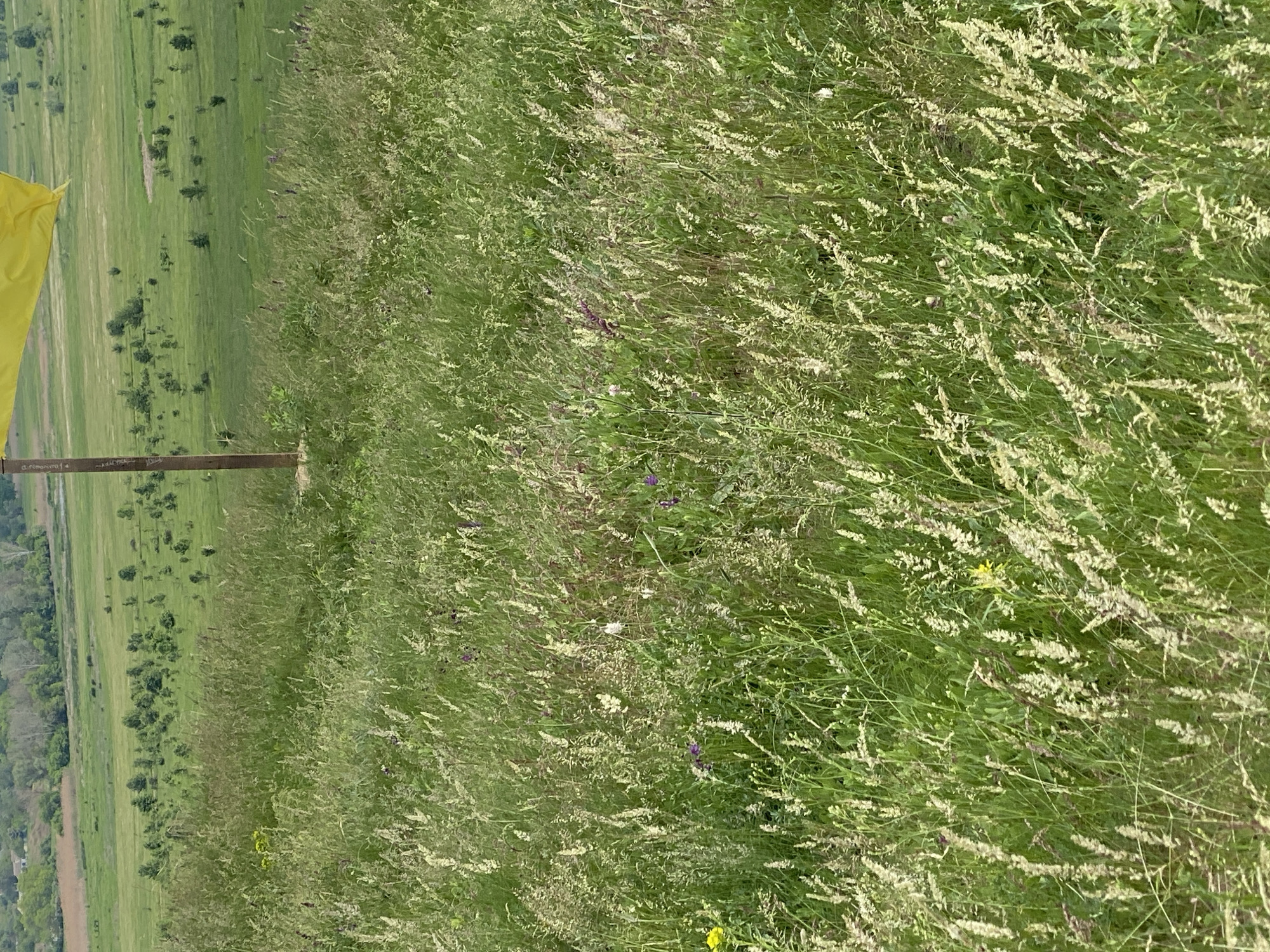 Rural Ukraine countryside visit documented in Ustyvytsia region
