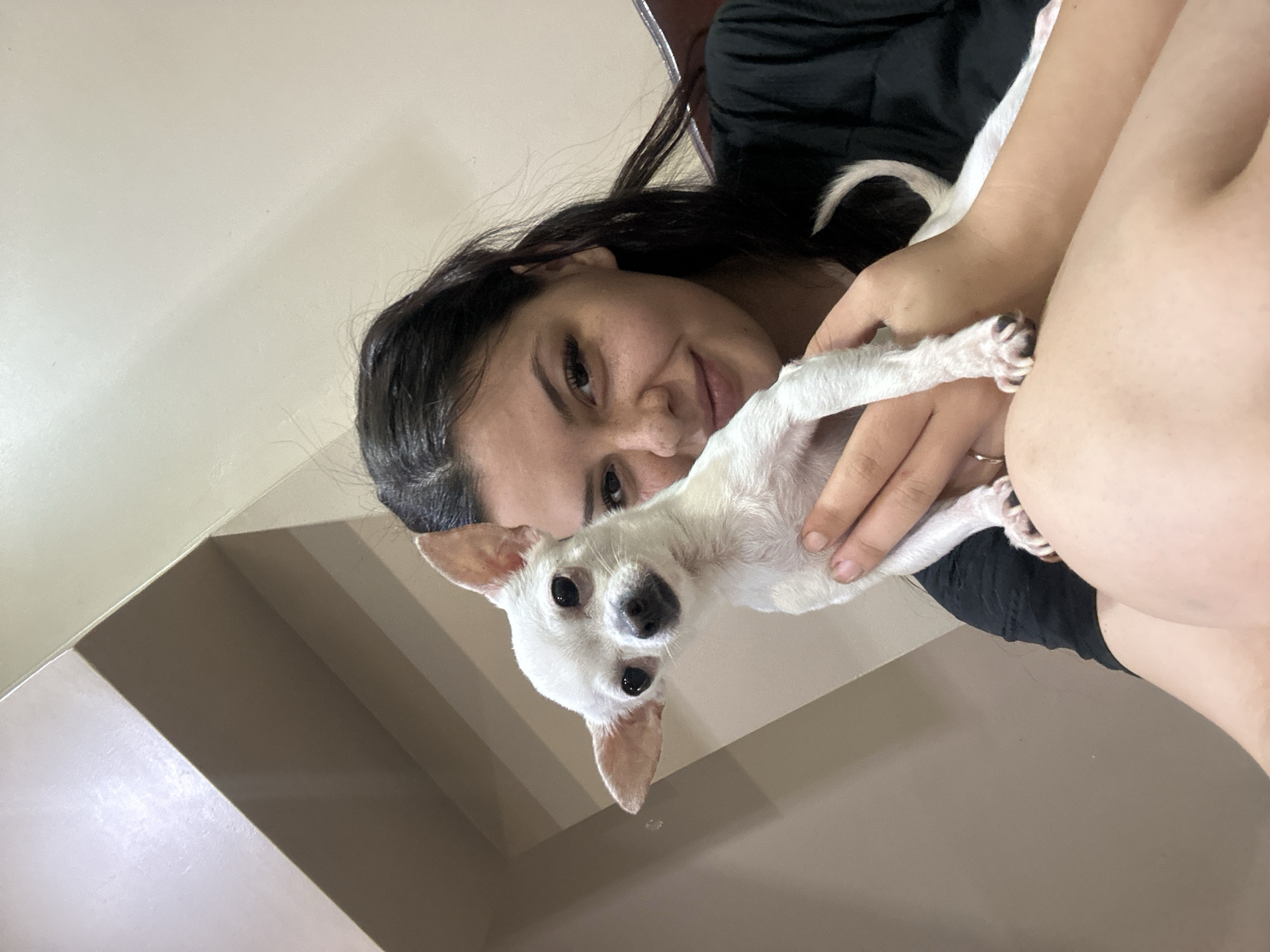 Woman with white Chihuahua photographed indoors in Sliven, Bulgaria