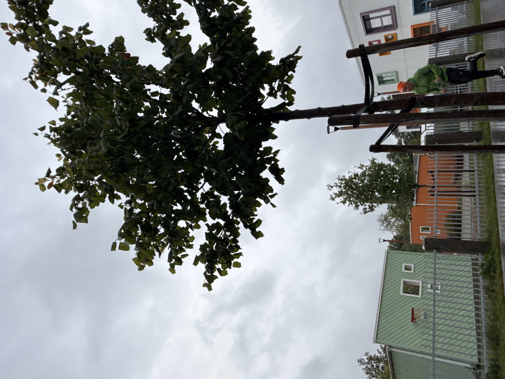 Rainy afternoon through a Tallinn residential neighborhood
