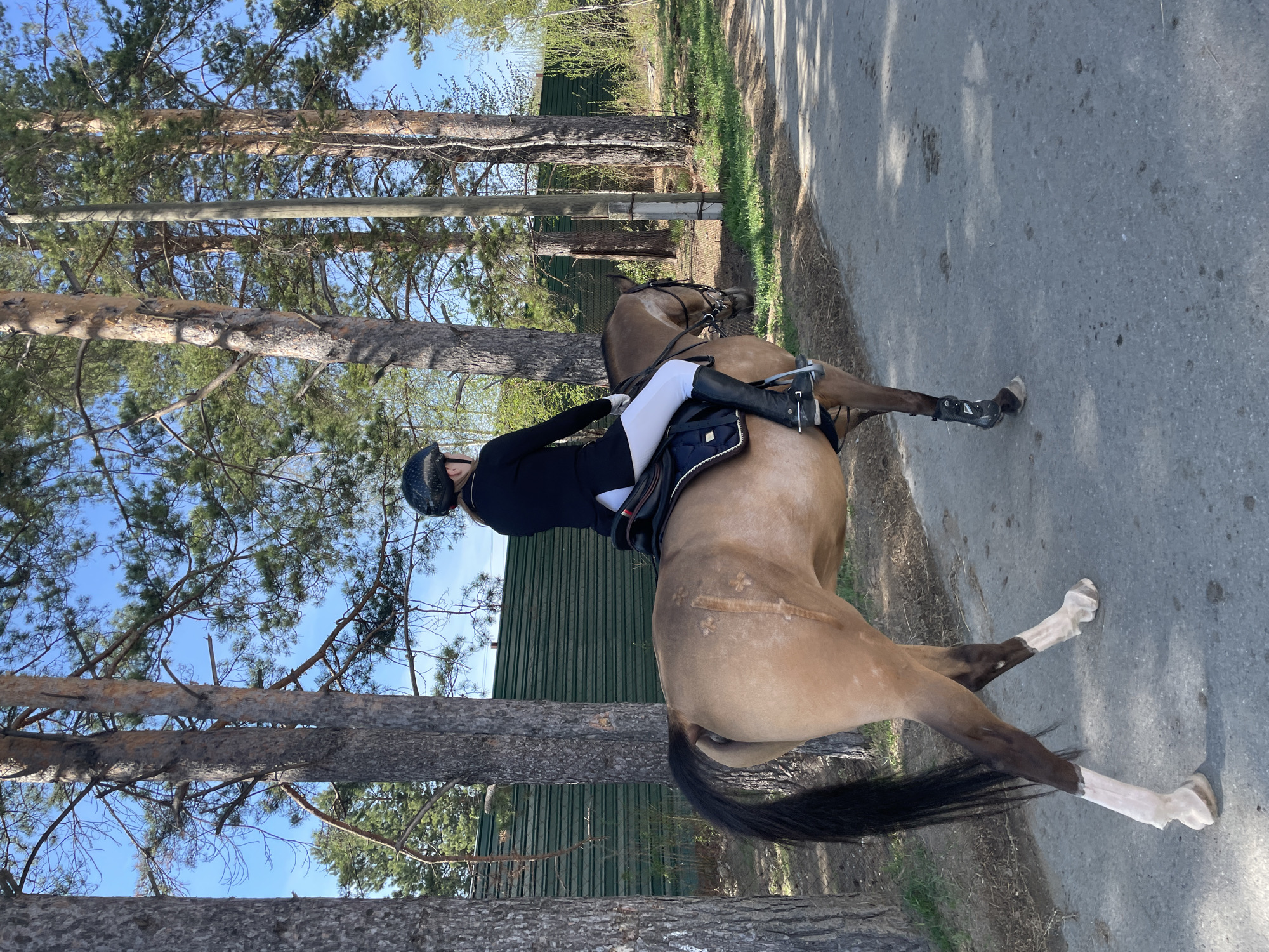 Equestrian rider spotted on paved road near Verkhneye Dubrovo