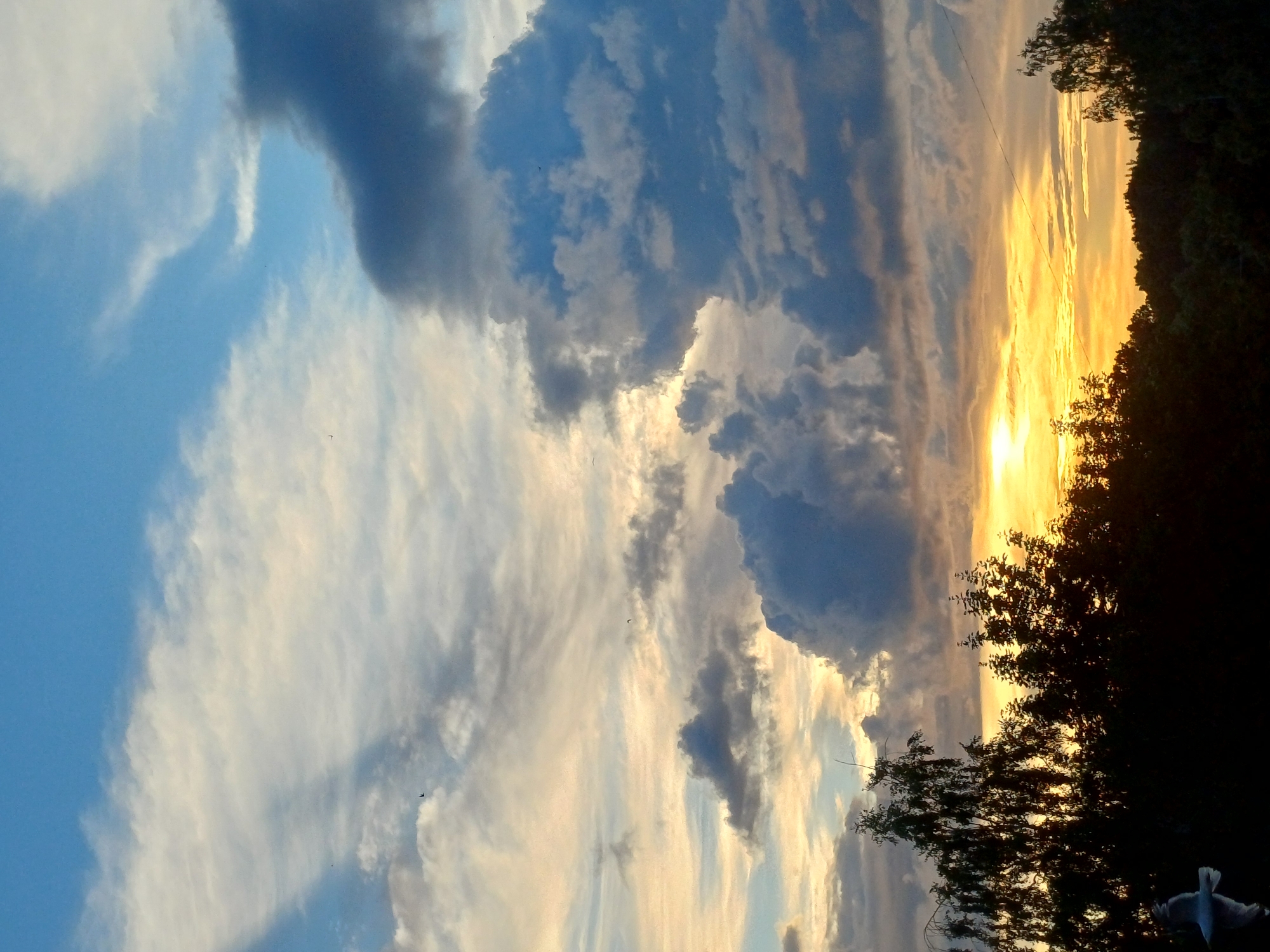 Dramatic summer sunset skies over Riga, with one floral close-up