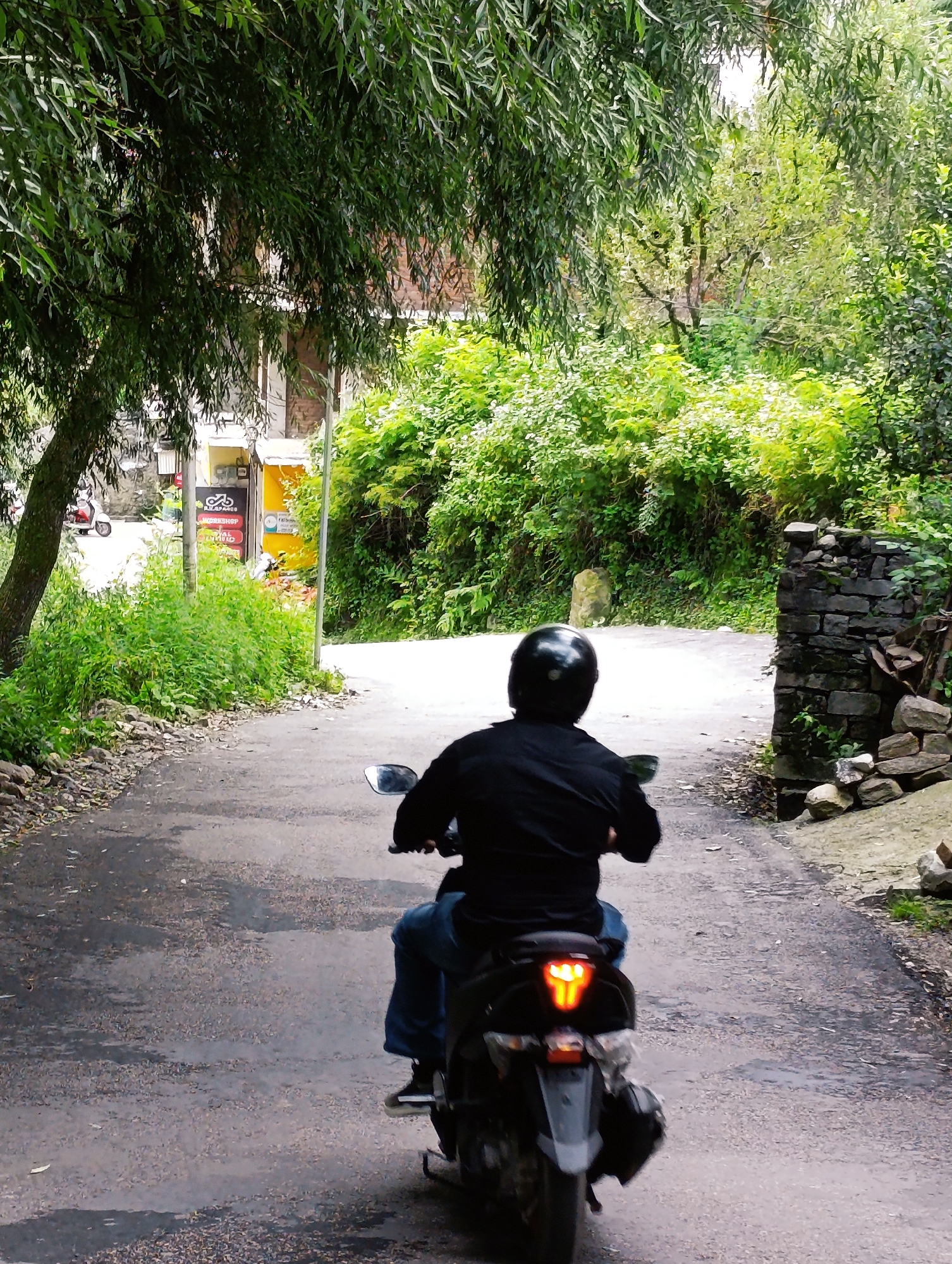 Morning travel and river views across Vashisht and Manali