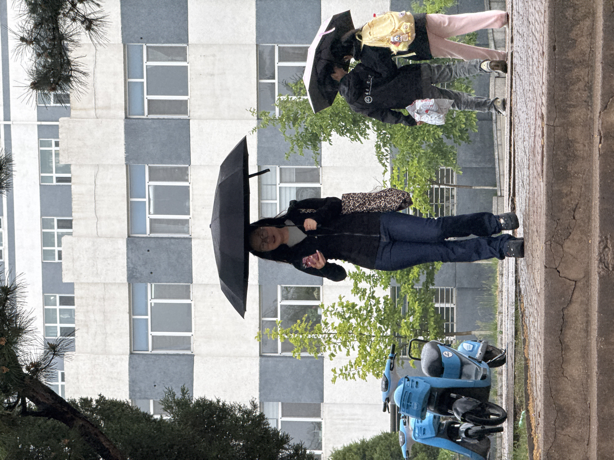 Rainy morning brings umbrellas to Zhongtun streets