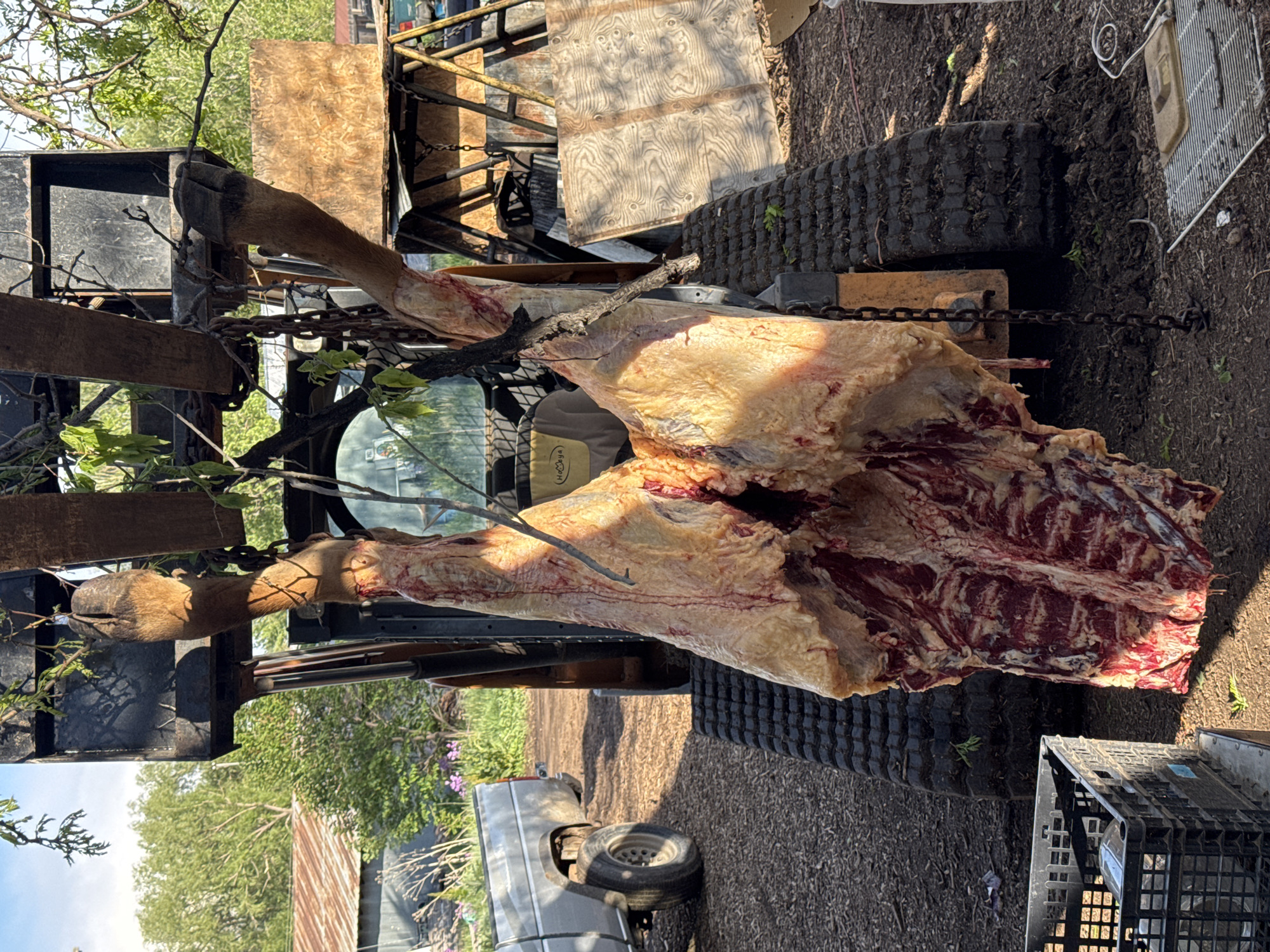 Animal processing documented in rural Boulder area