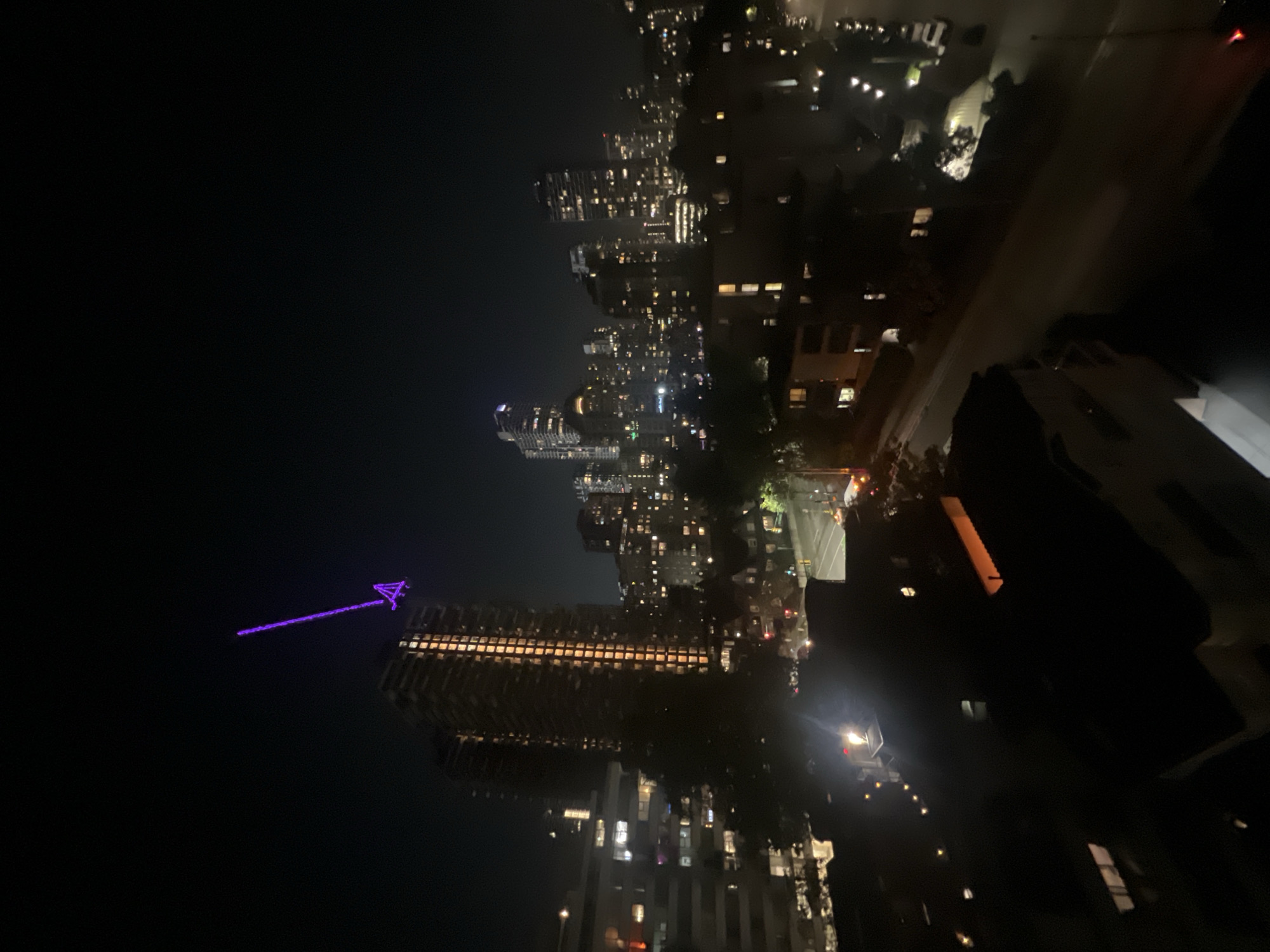 A quiet mix of everyday objects, pets, and city nights