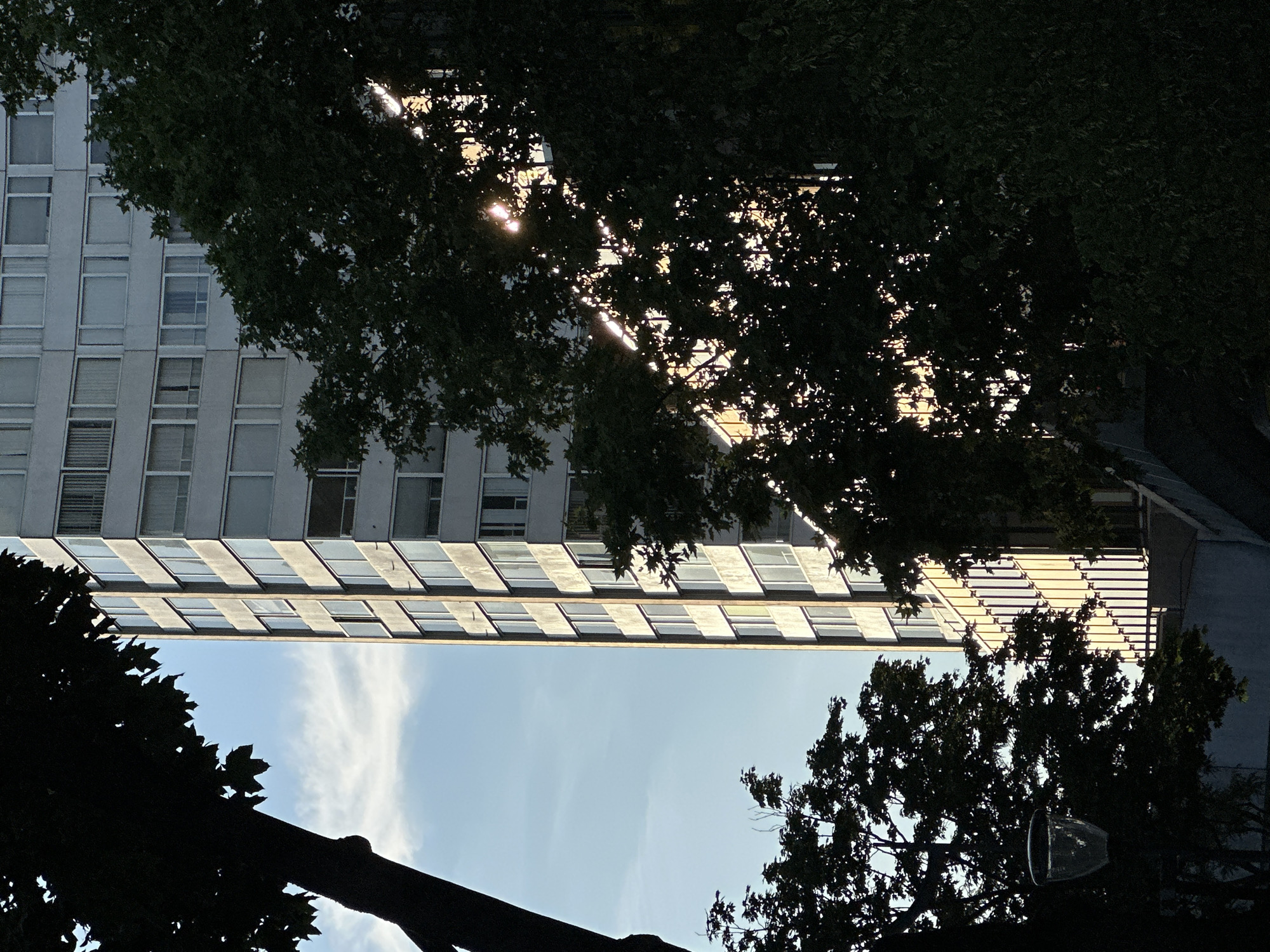 Modern Paris streetscapes with towers, traffic, and the Eiffel Tower