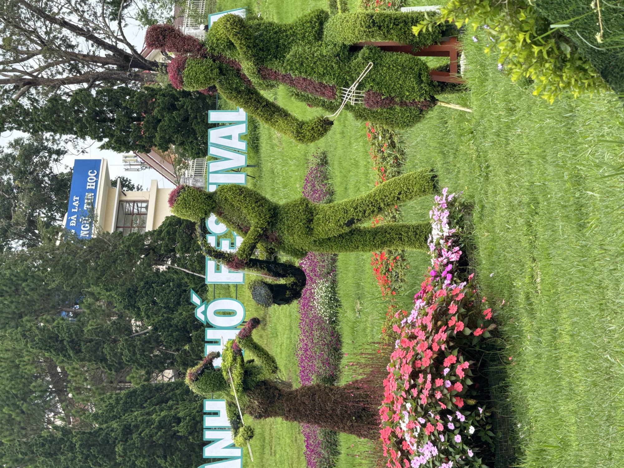 Morning scenes captured across Da Lat tourist attractions and streets