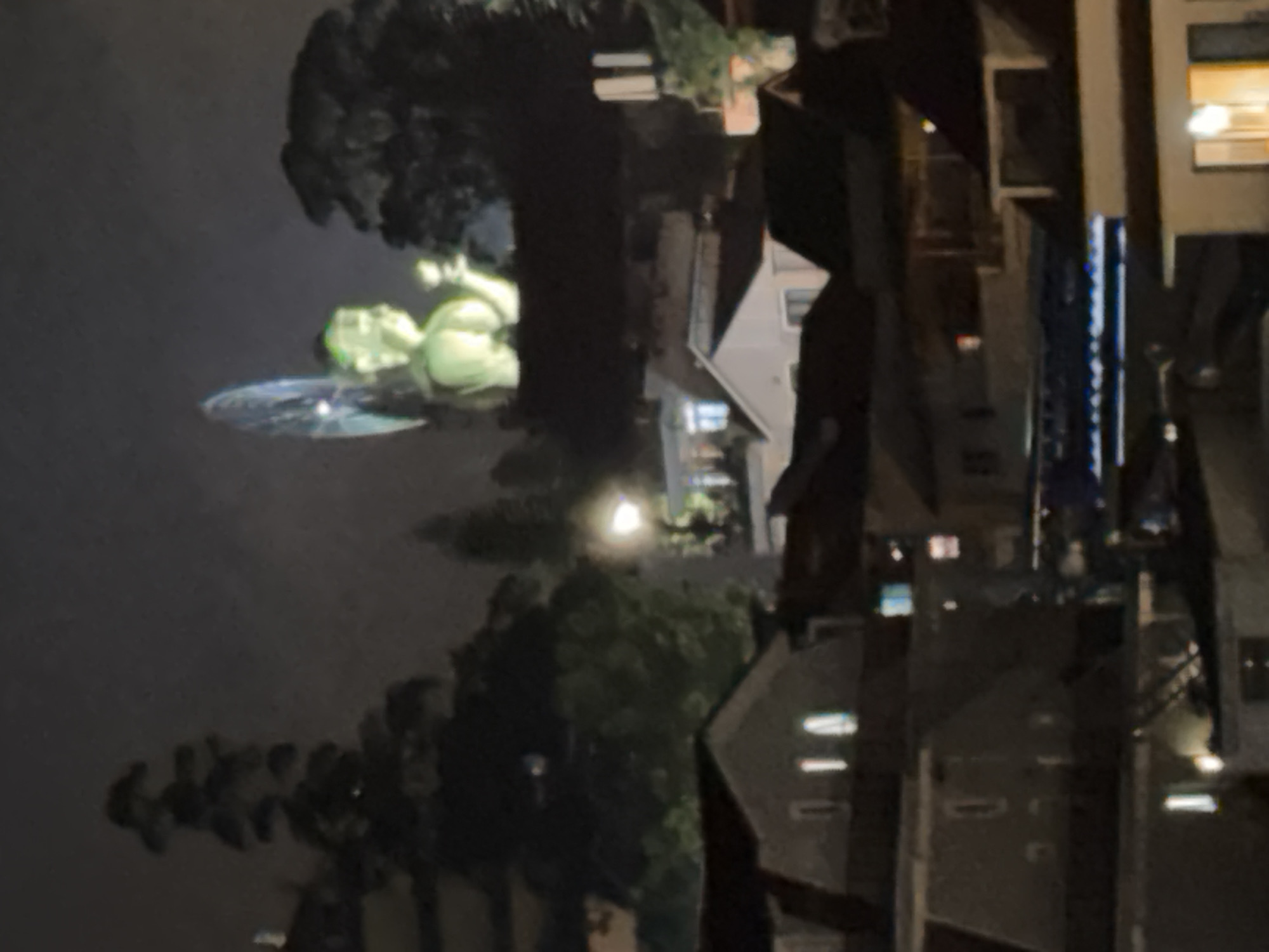Mixed daytime and nighttime scenes captured in Đà Lạt