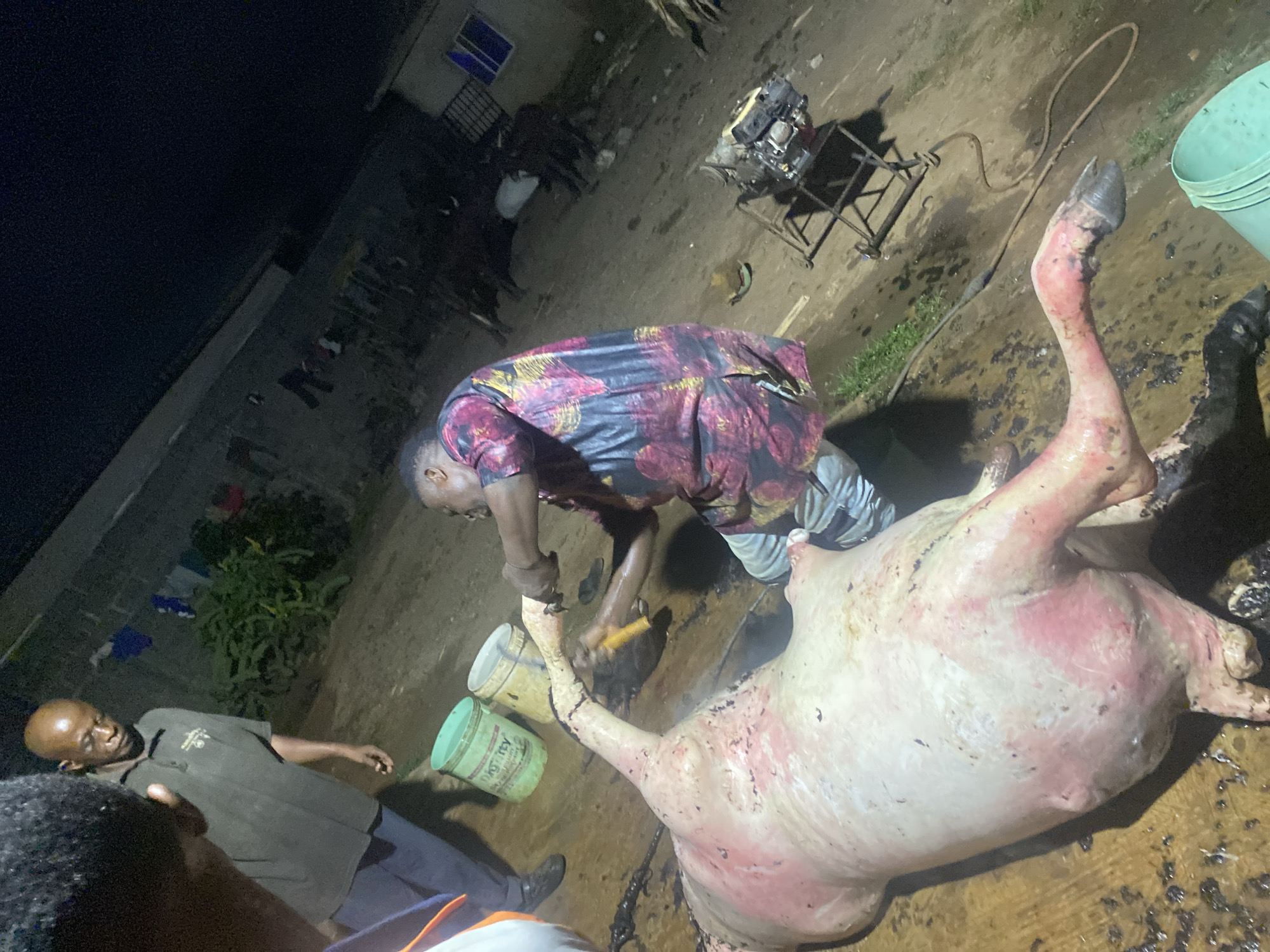Night butchering documented by witnesses in Ikorodu, Nigeria