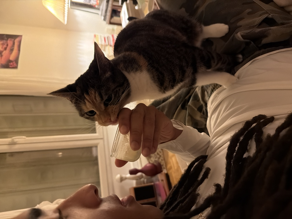 Person feeds cats milk from glass containers in Paris home