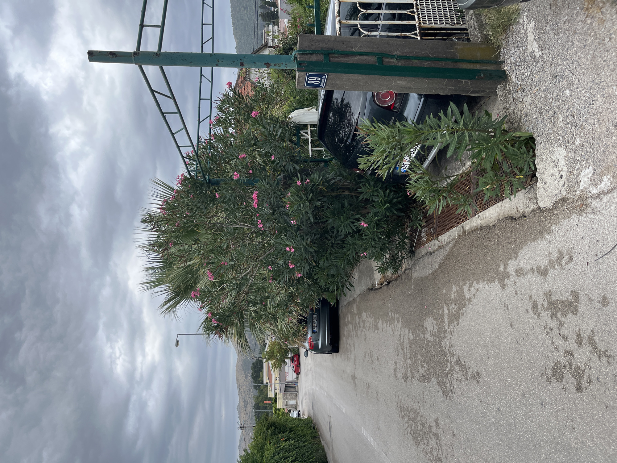 Overcast morning in a hillside town, olive trees and quiet streets
