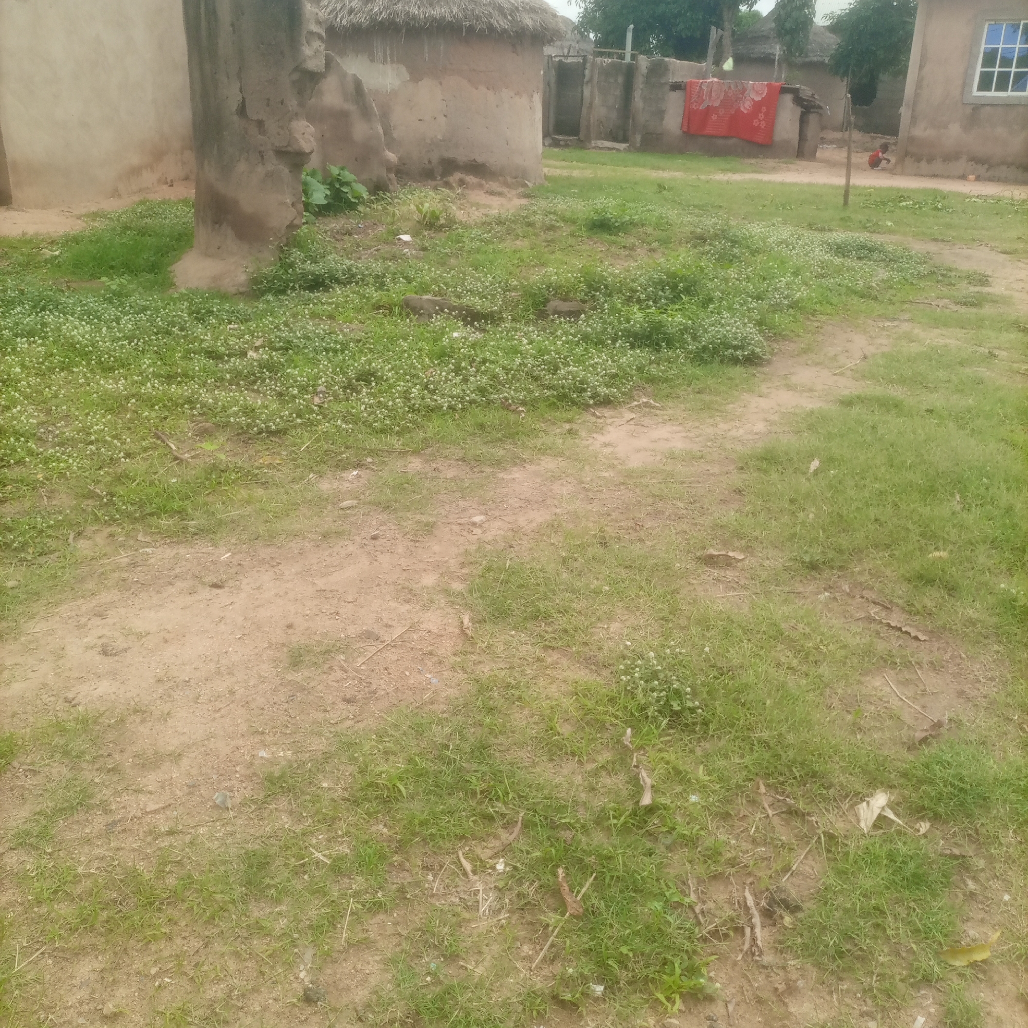 Street walk through residential Jalingo neighborhoods and construction sites