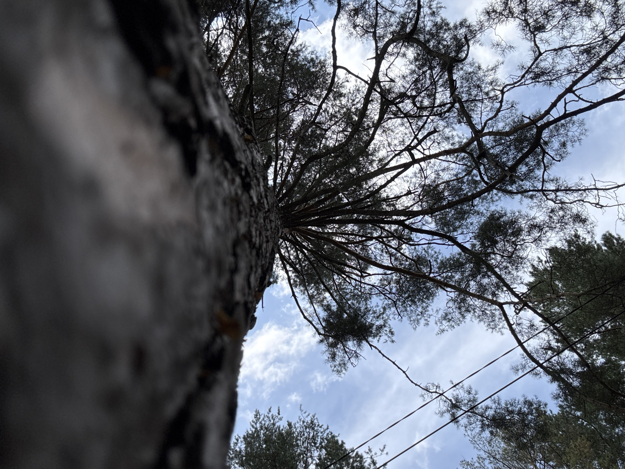 Summer morning in Chaikovsky: selfies, jewelry, and nature