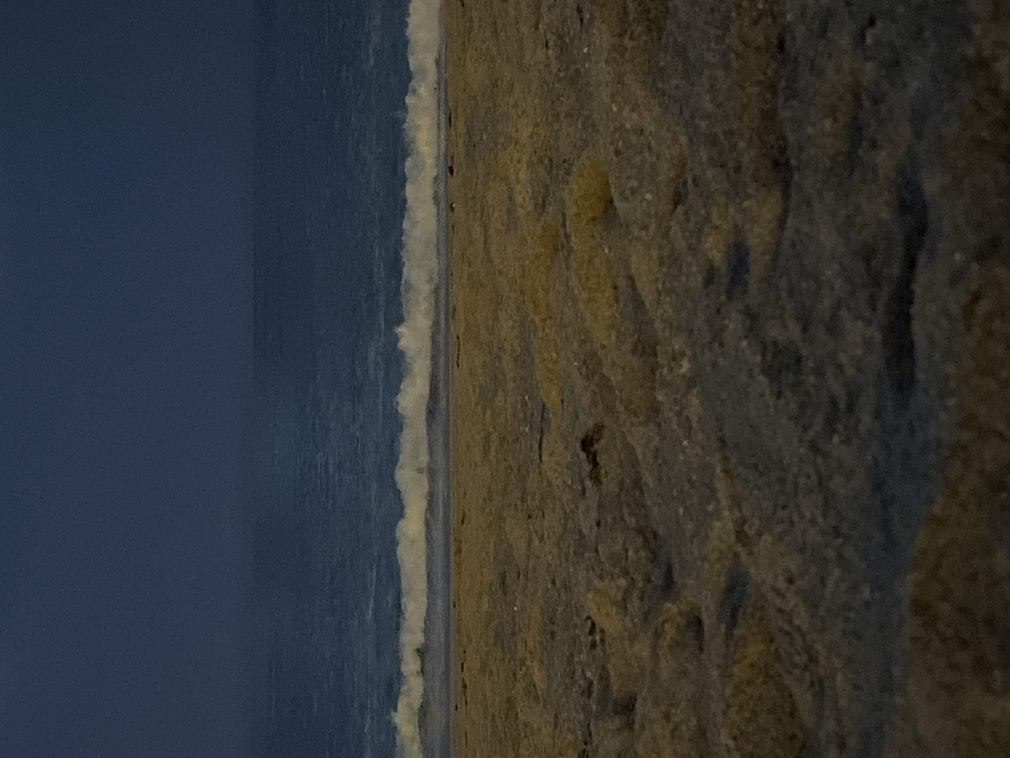 Atlantic waves observed along A Coruña beach shoreline