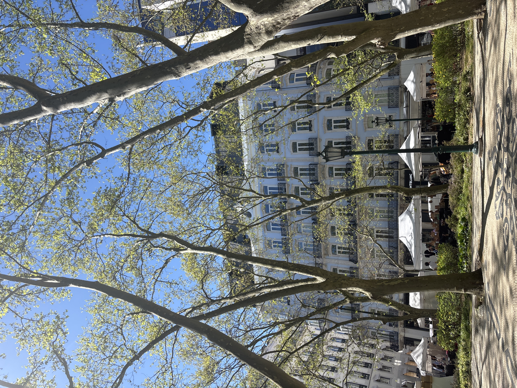 Outdoor market operates on Avenida da Liberdade in Lisbon