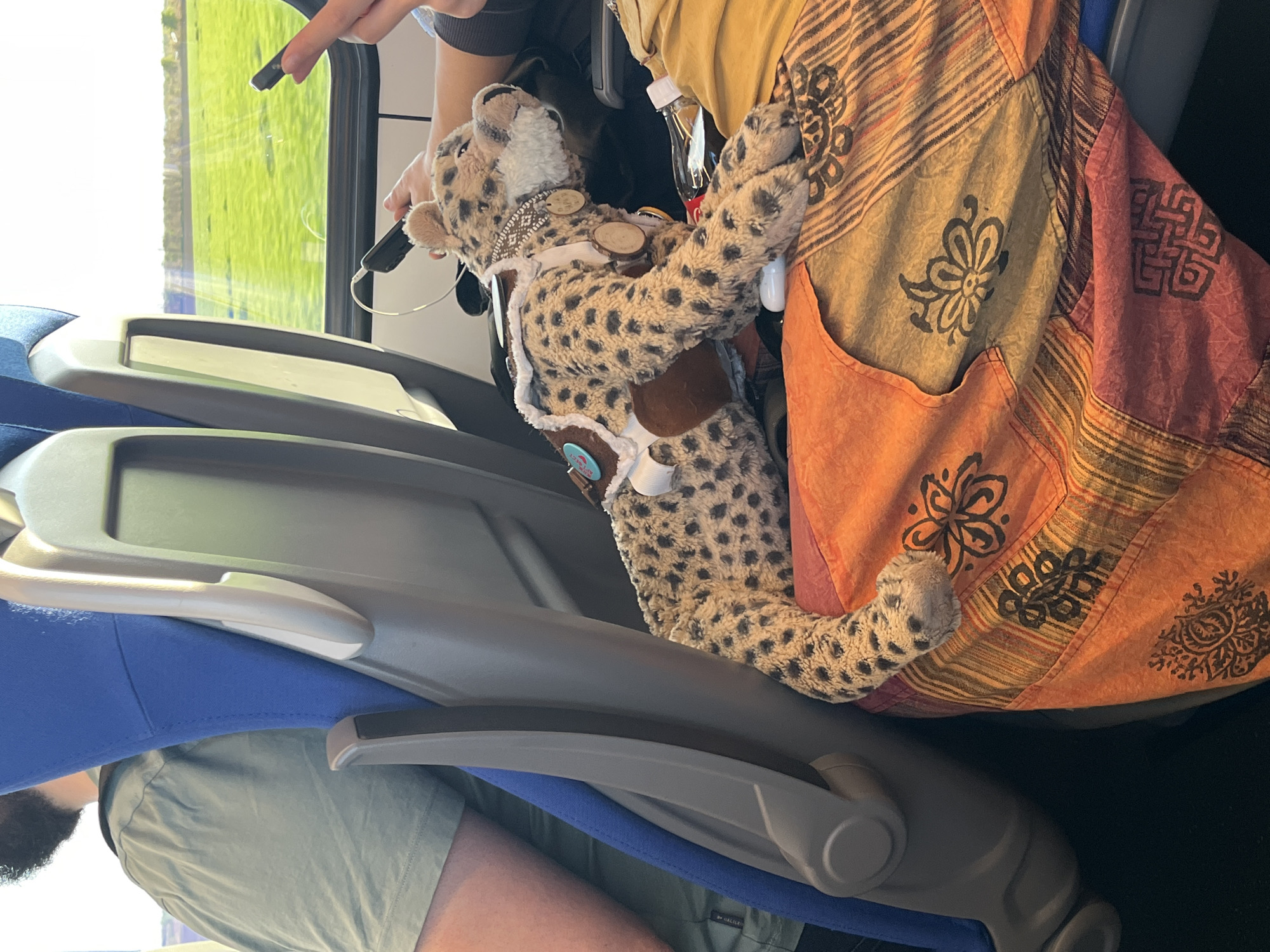 Decorated stuffed cheetah spotted on Serbian train