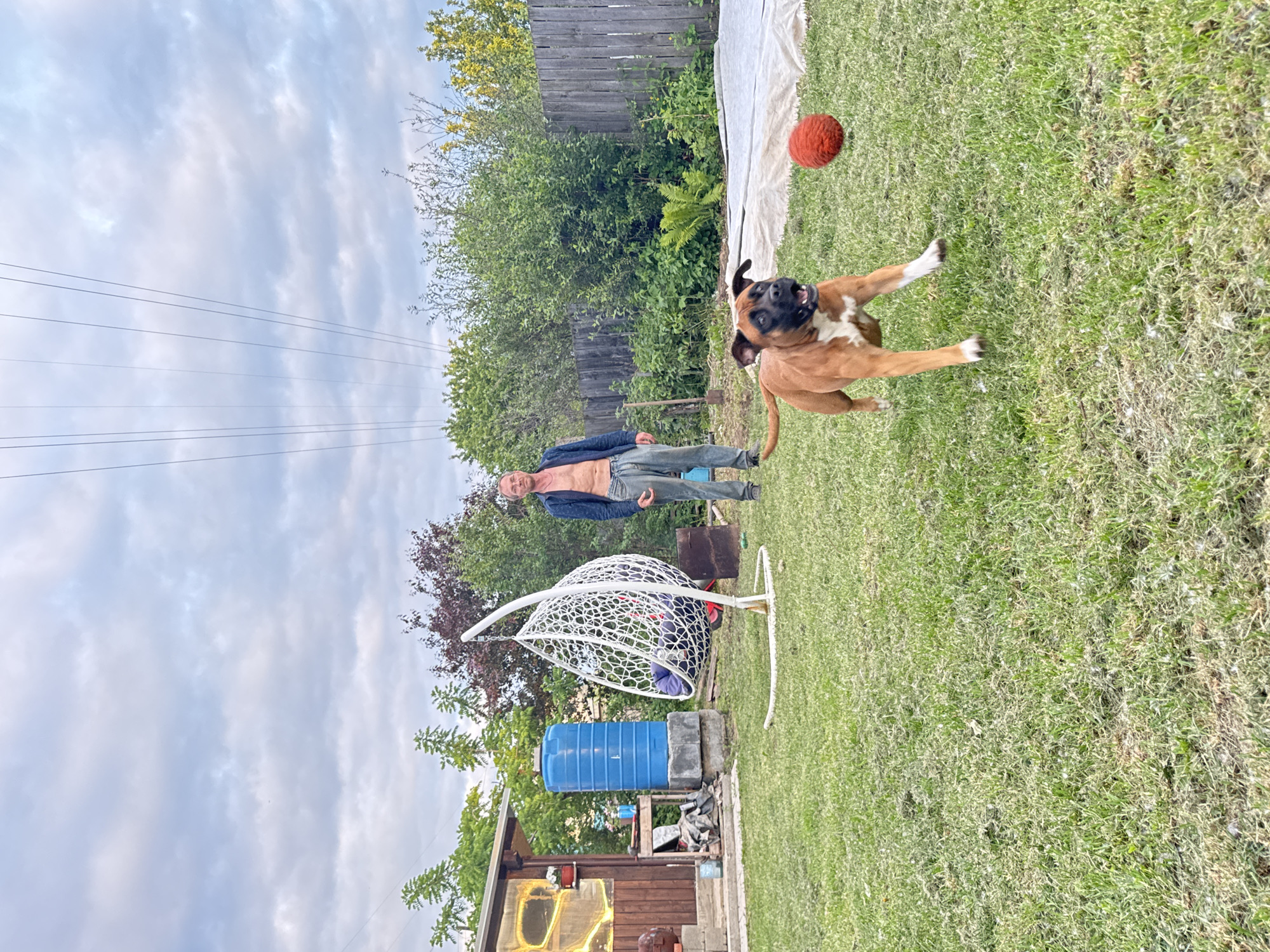 Couple's Evening: Backyard Life with Dog and Fire in Russia