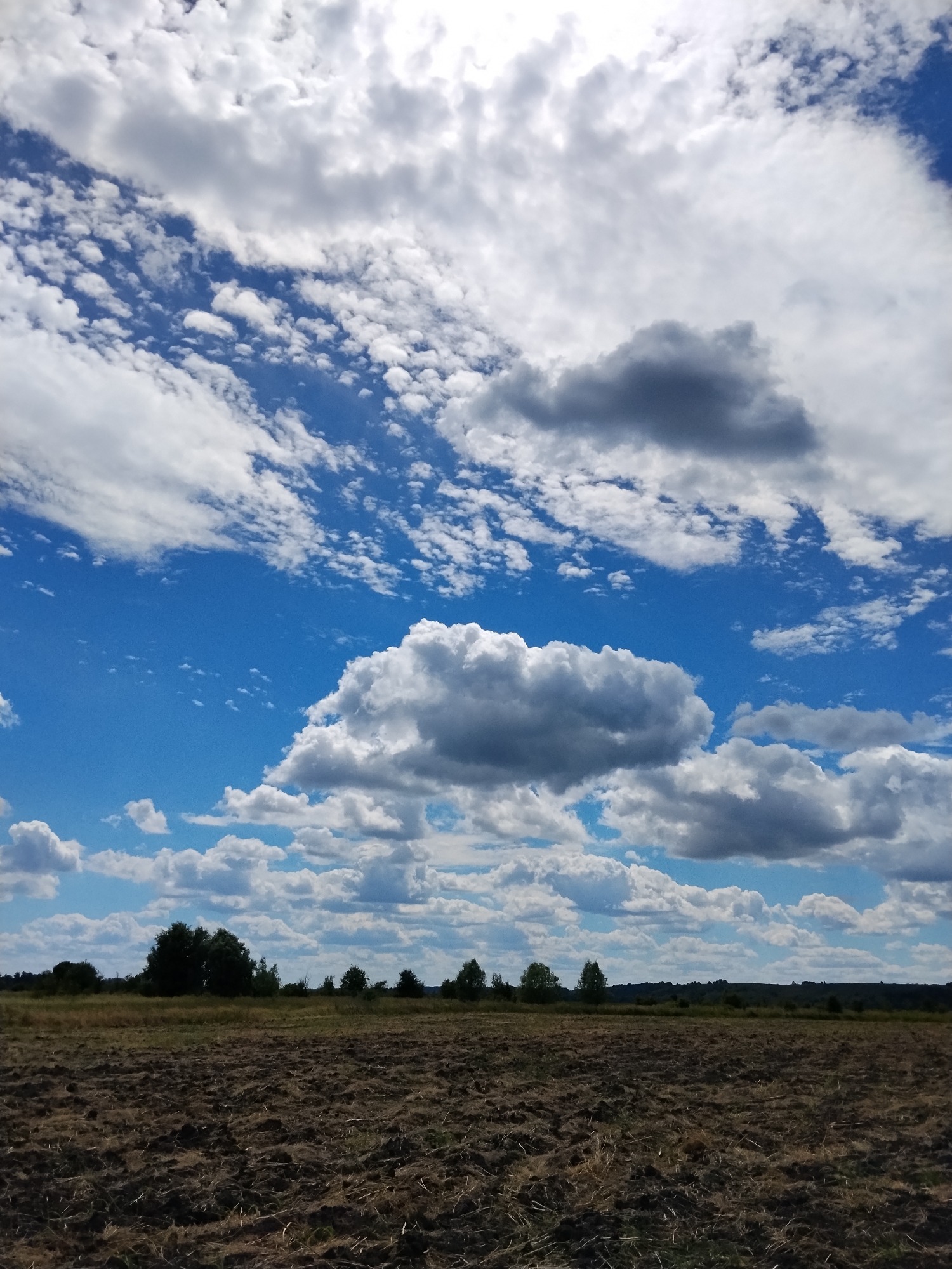 Freshly tilled farmland under open skies, Ustyvytsya, Ukraine