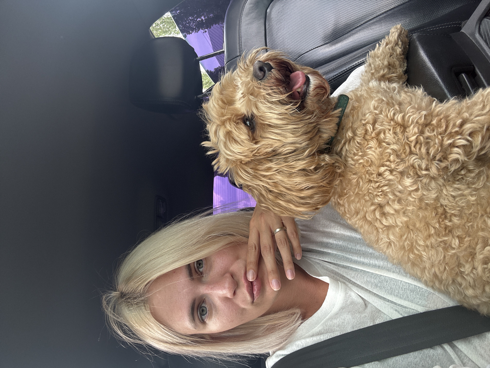 Goldendoodle rides shotgun through Engels, Russia