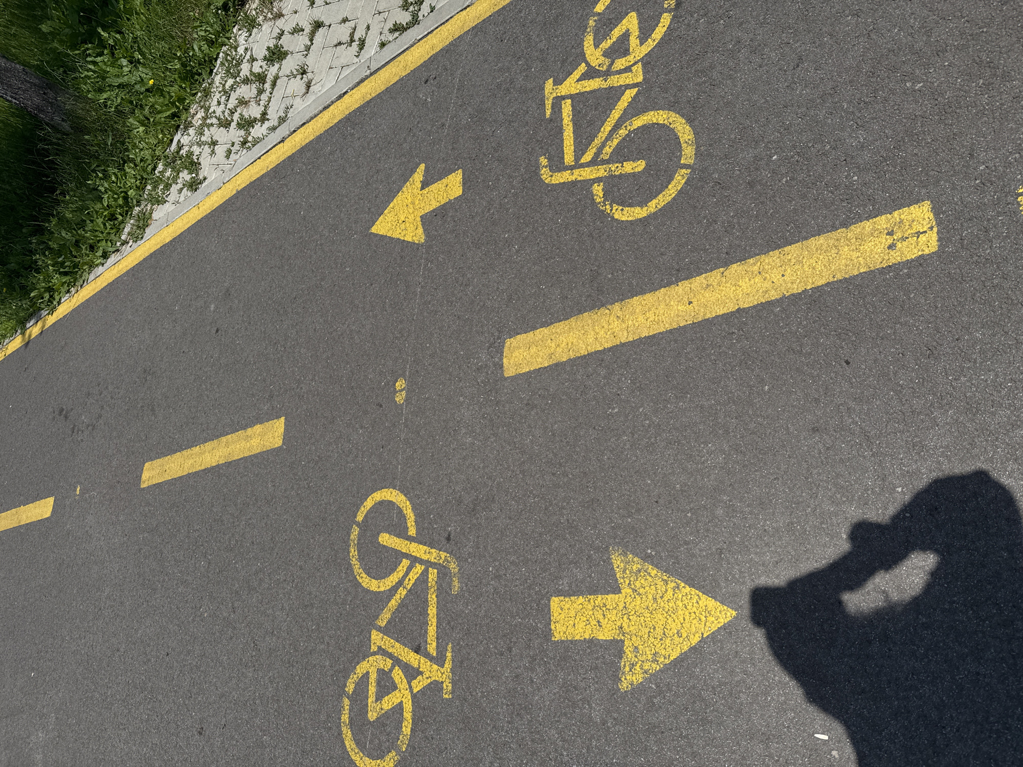 Morning bike path scenes captured in urban park