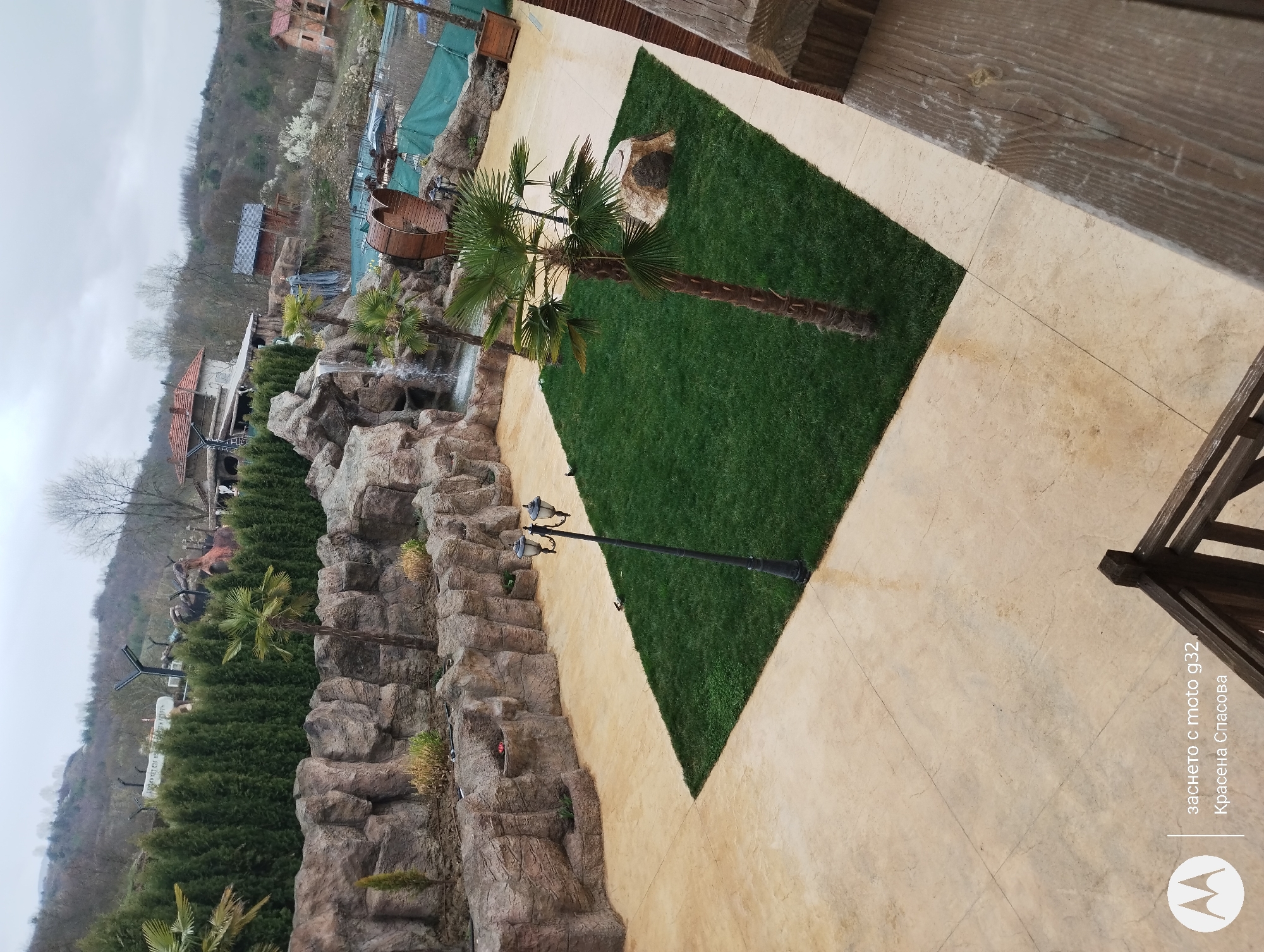 Palm tree landscaping documented in Baldevo, Bulgaria