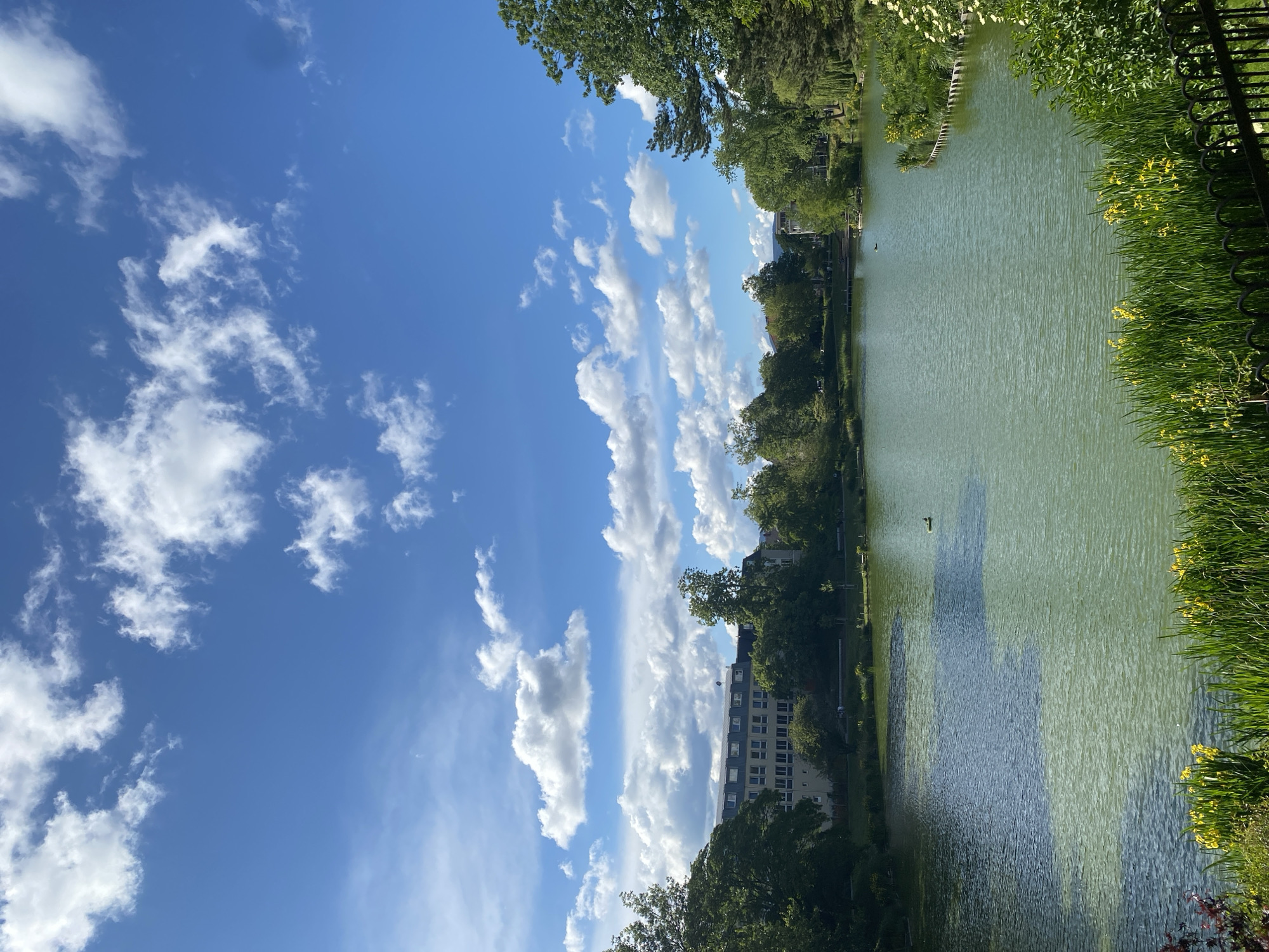 Daytime lakeside scene captured in Landau in der Pfalz