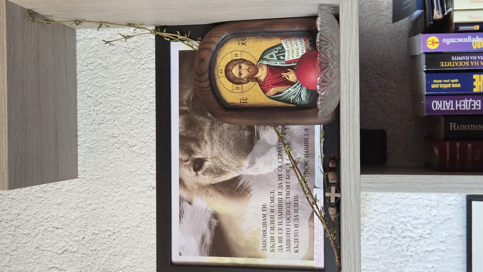Religious shelf display and parked Volkswagen documented simultaneously