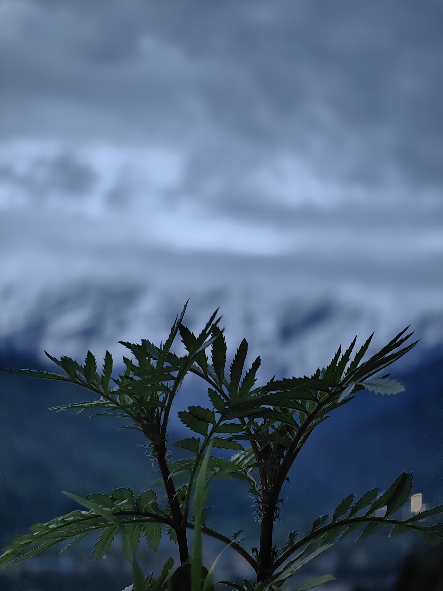 Twilight views of Vashisht village in the Himalayas