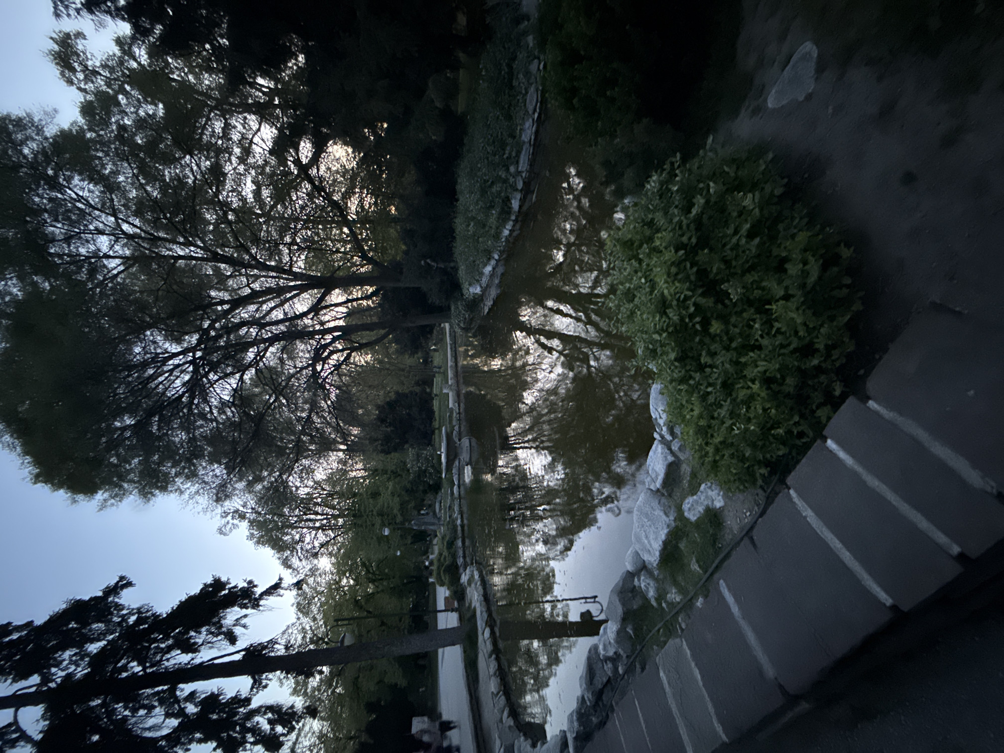 Evening scenes documented across Plovdiv parks and urban areas