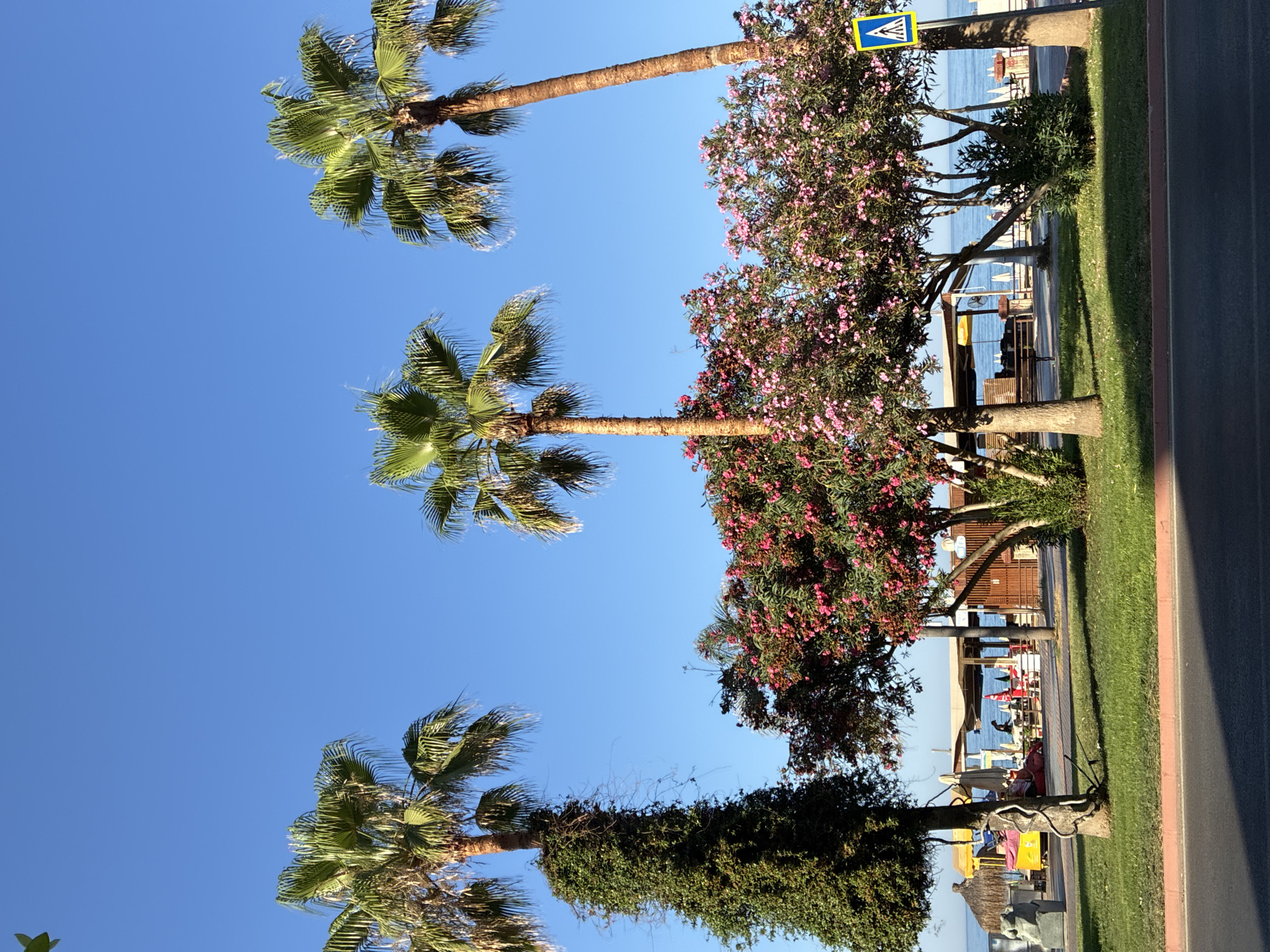 Alanya's sunny beachfront promenade, palms, and quiet streets