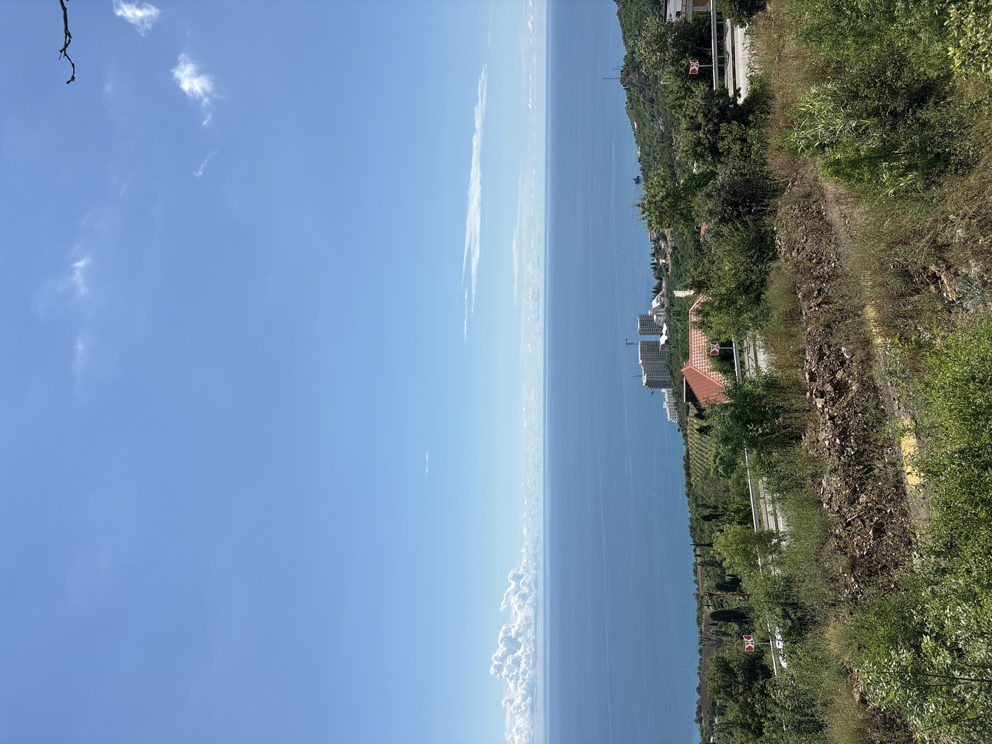 Plum picking and coastal views on the Black Sea shore