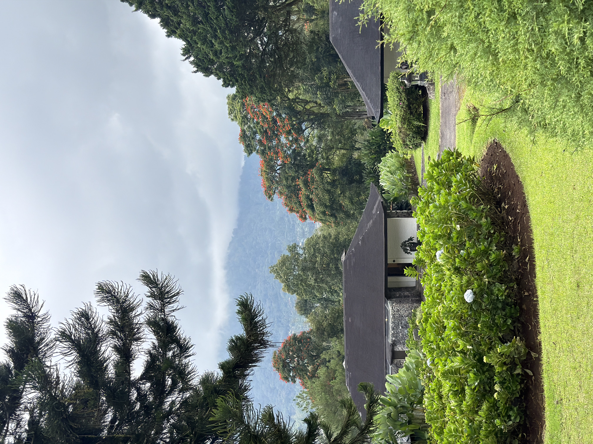 Morning coffee break captured in Sukasada garden setting