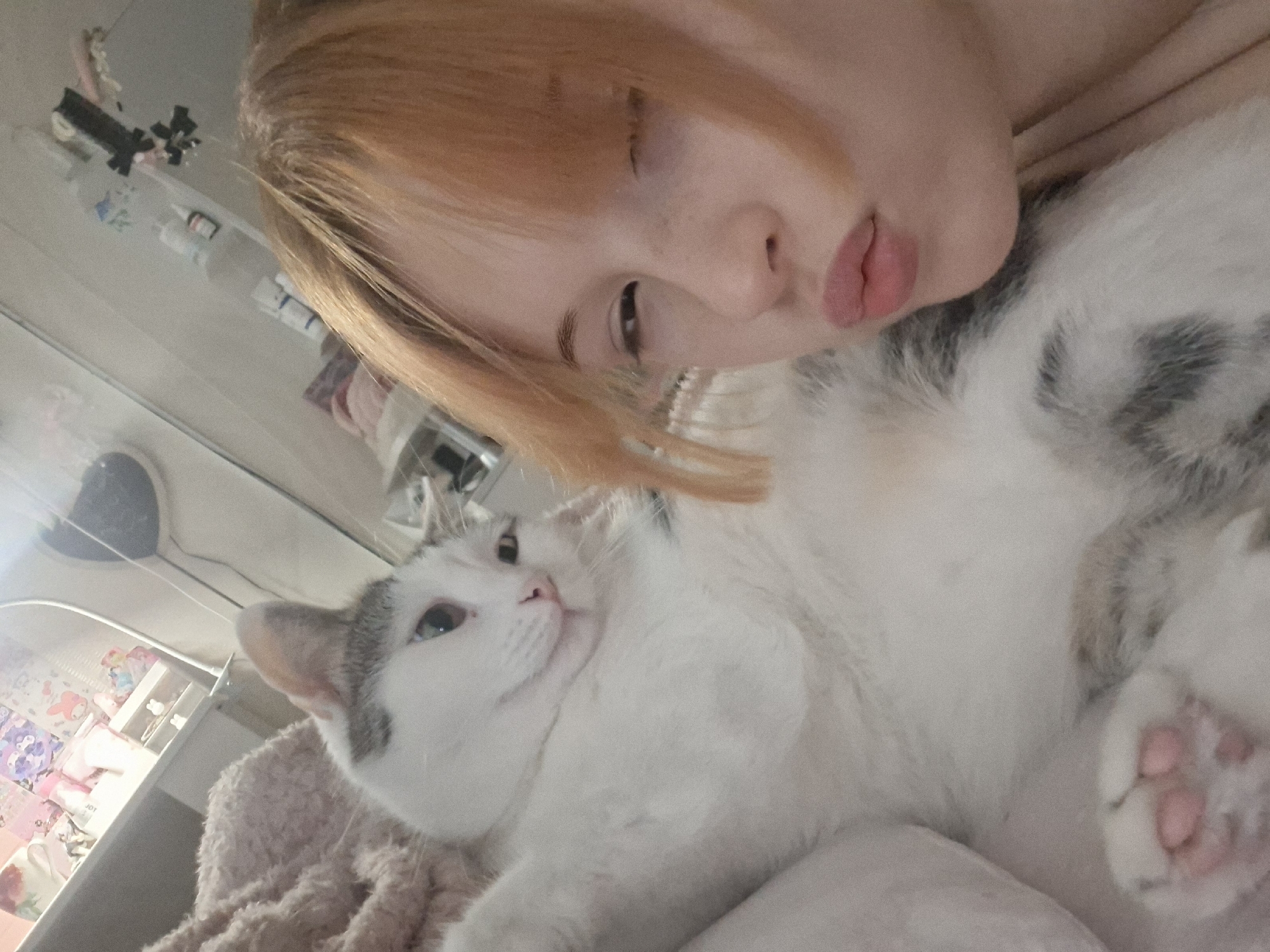 Person documents quiet afternoon with cat in Chaikovsky home