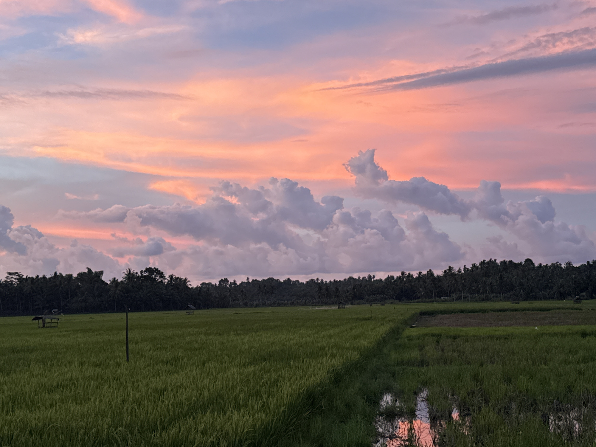 Lunch and landscape documented in rural Indonesian city