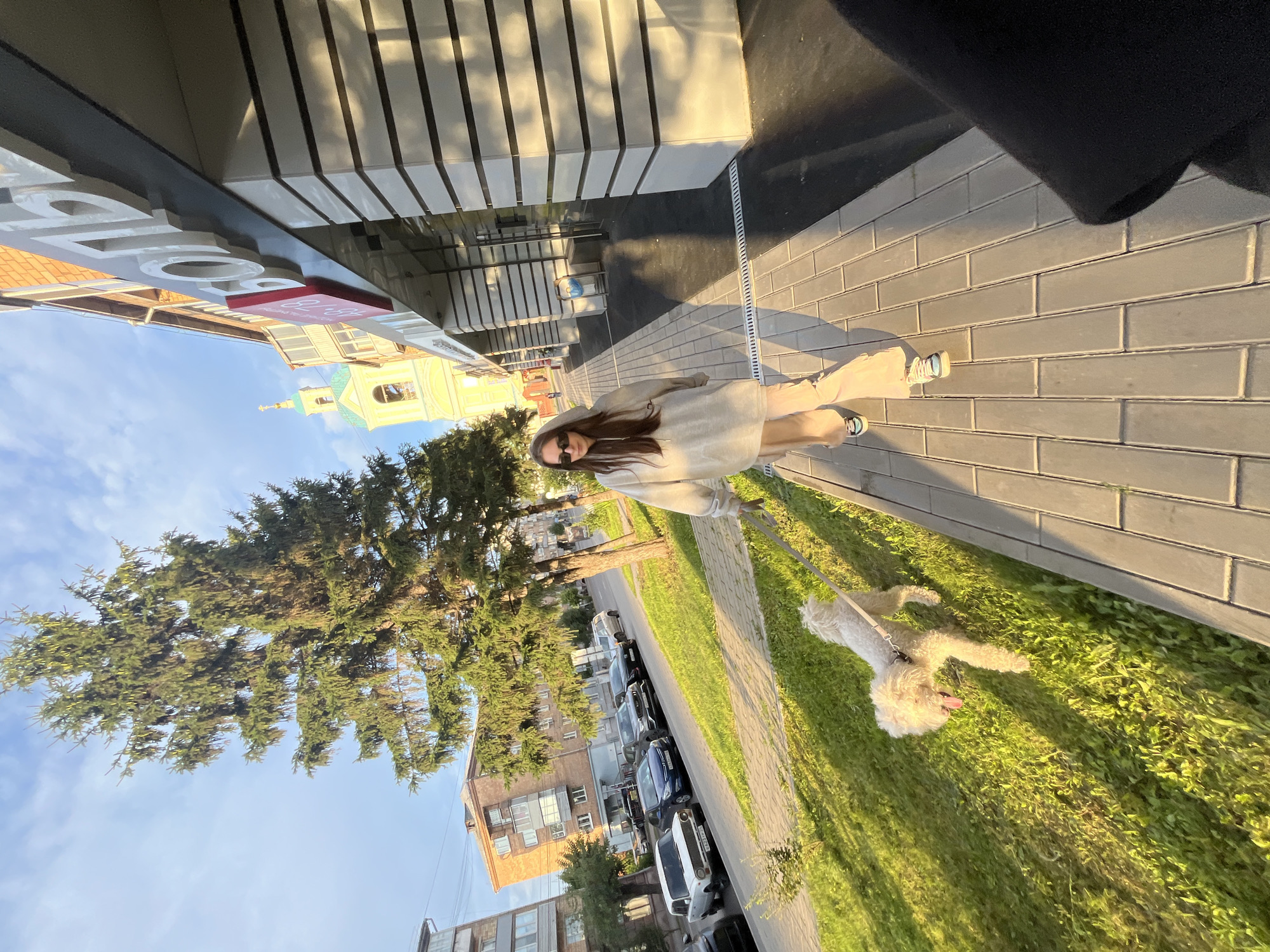White poodle on a midday walk through Krasnoyarsk streets