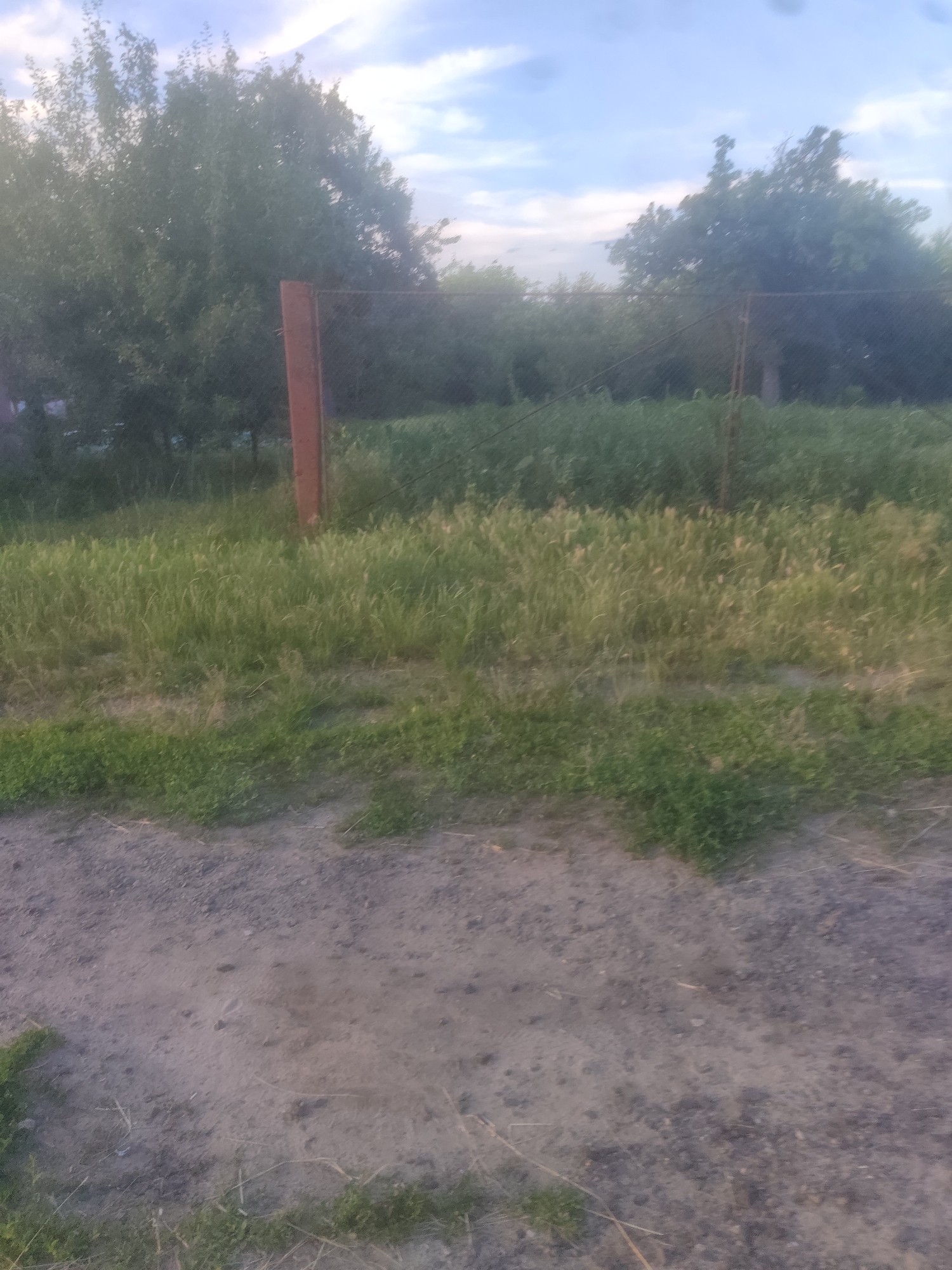 Evening walk through quiet rural roads and countryside at dusk