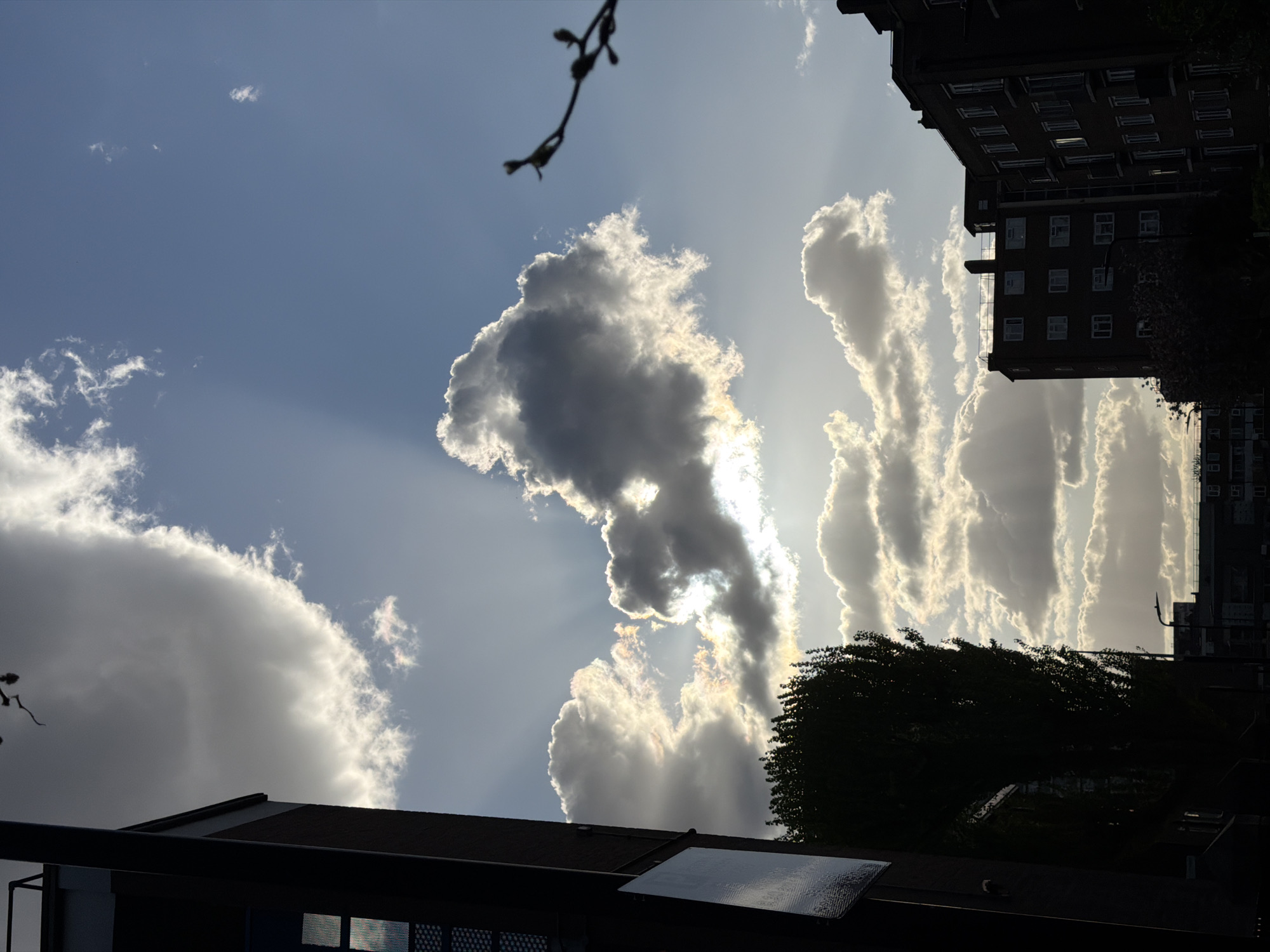London witness captures spring weather, cherry blossoms during brief observation