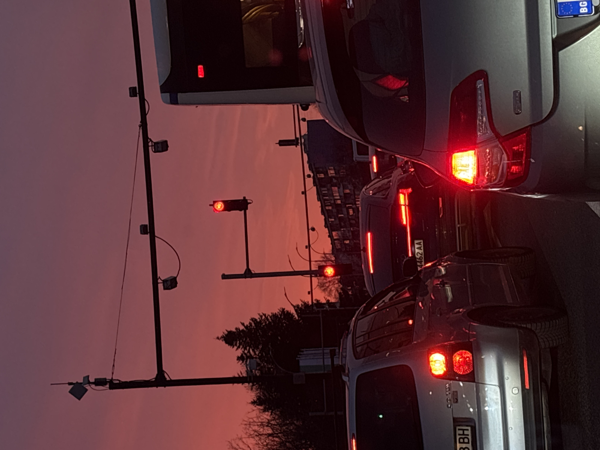 Woman observed in Volkswagen with teddy bear in Varna