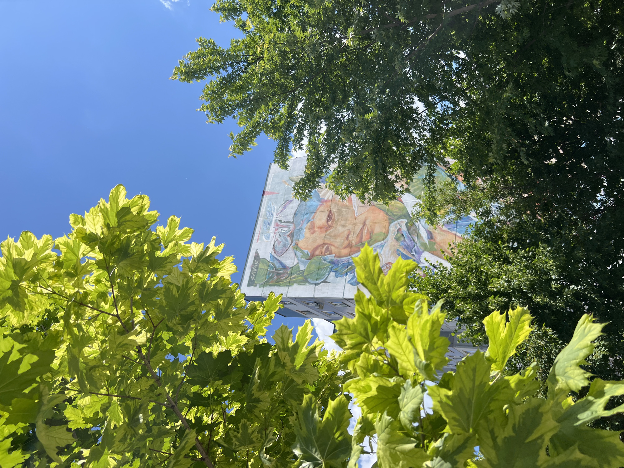 Morning walk through Kazan captures street art and sparrows