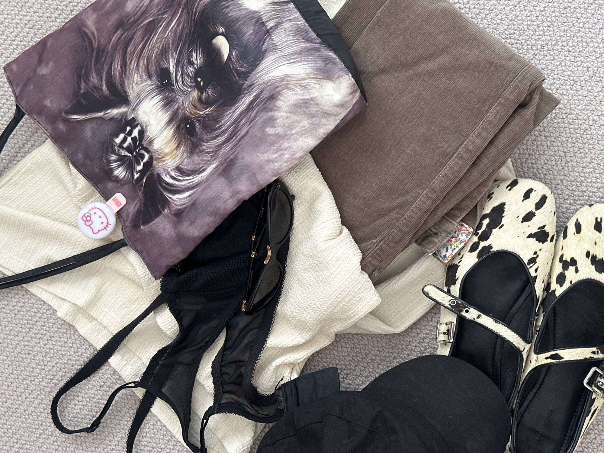 Spaniel and dog-themed items documented in Wealden morning
