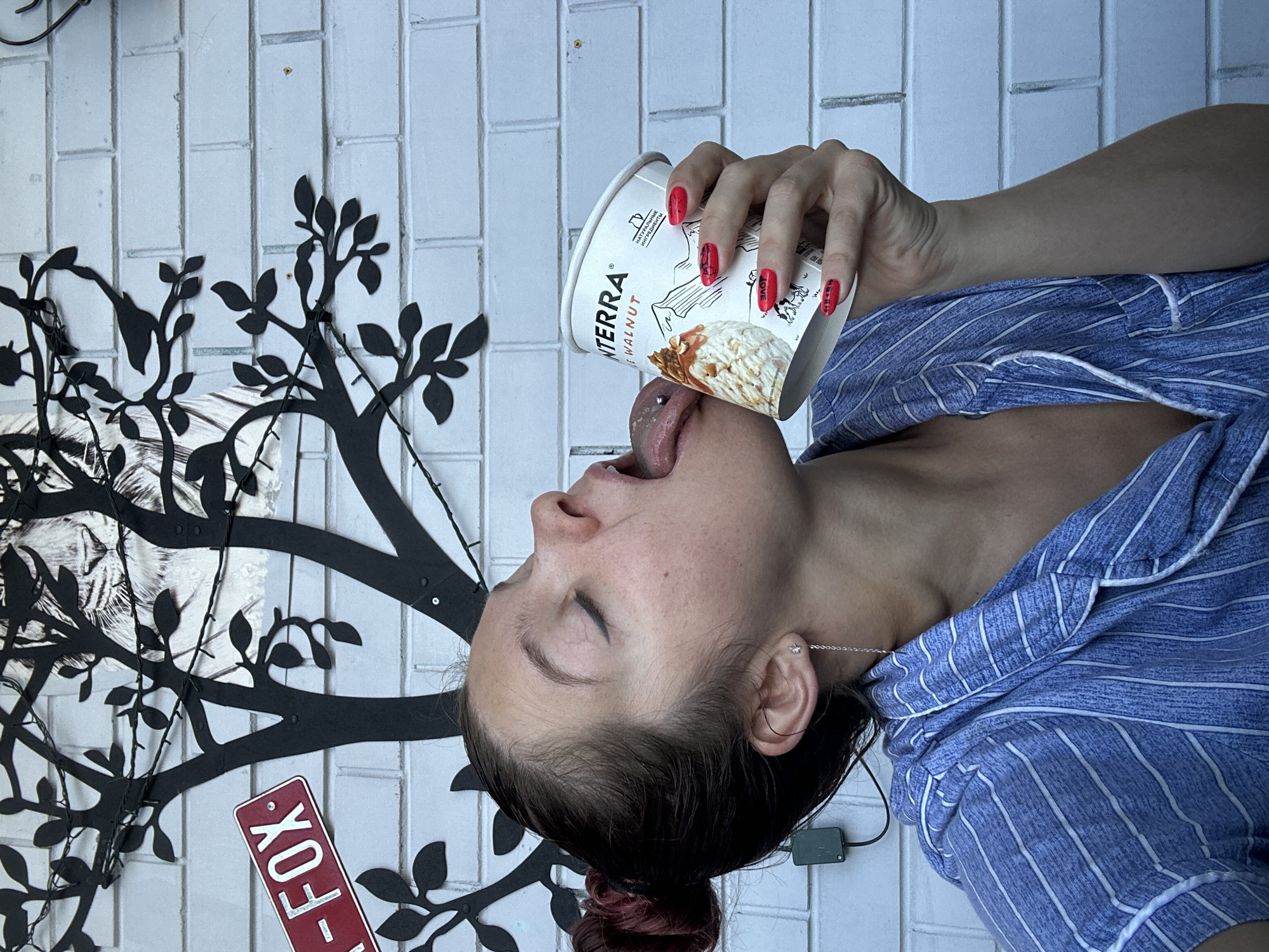 Ice cream, a Sphynx cat, and a slow afternoon in Vladimir