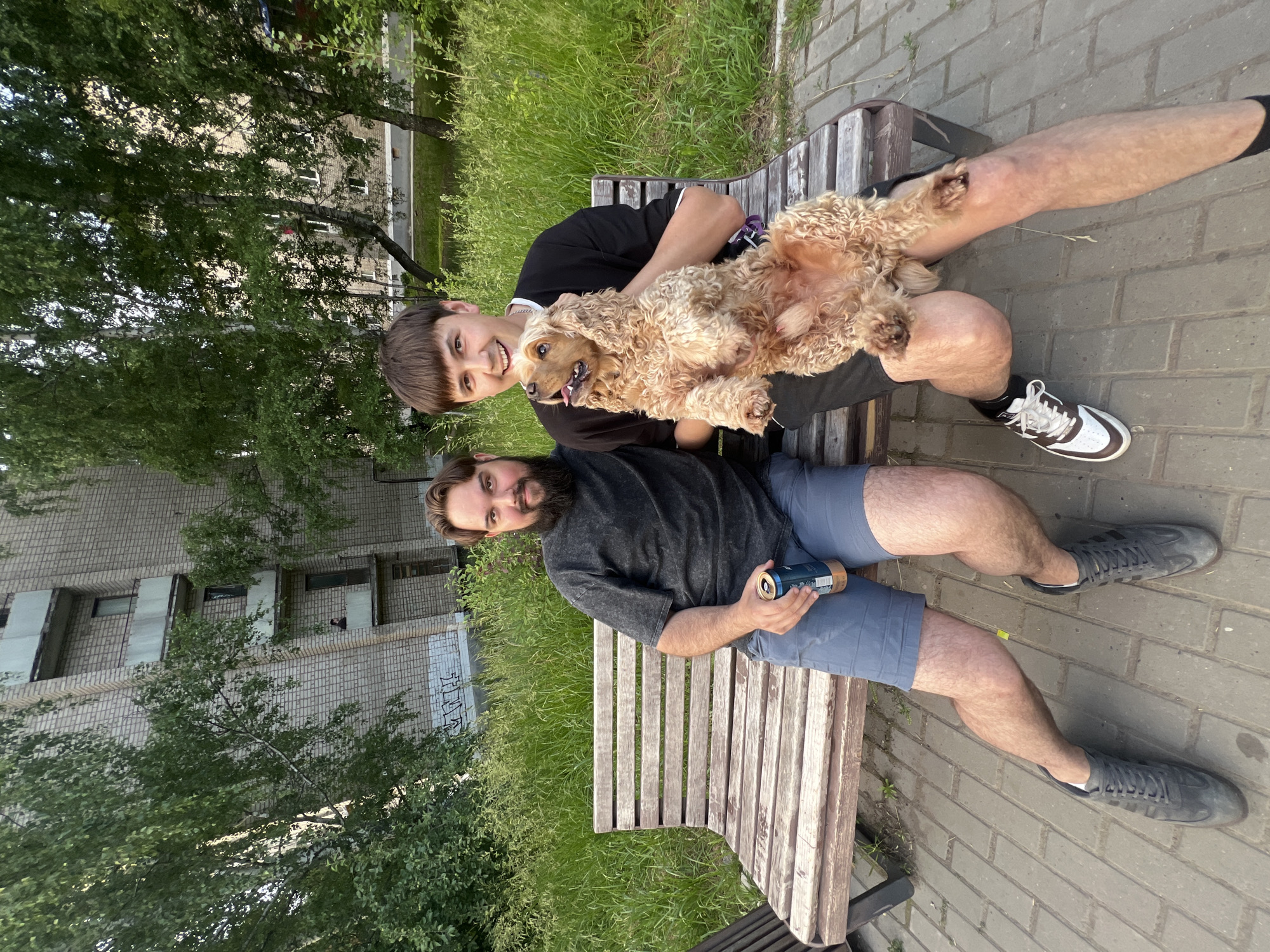 Casual summer evening in Chaikovsky, parks and pets