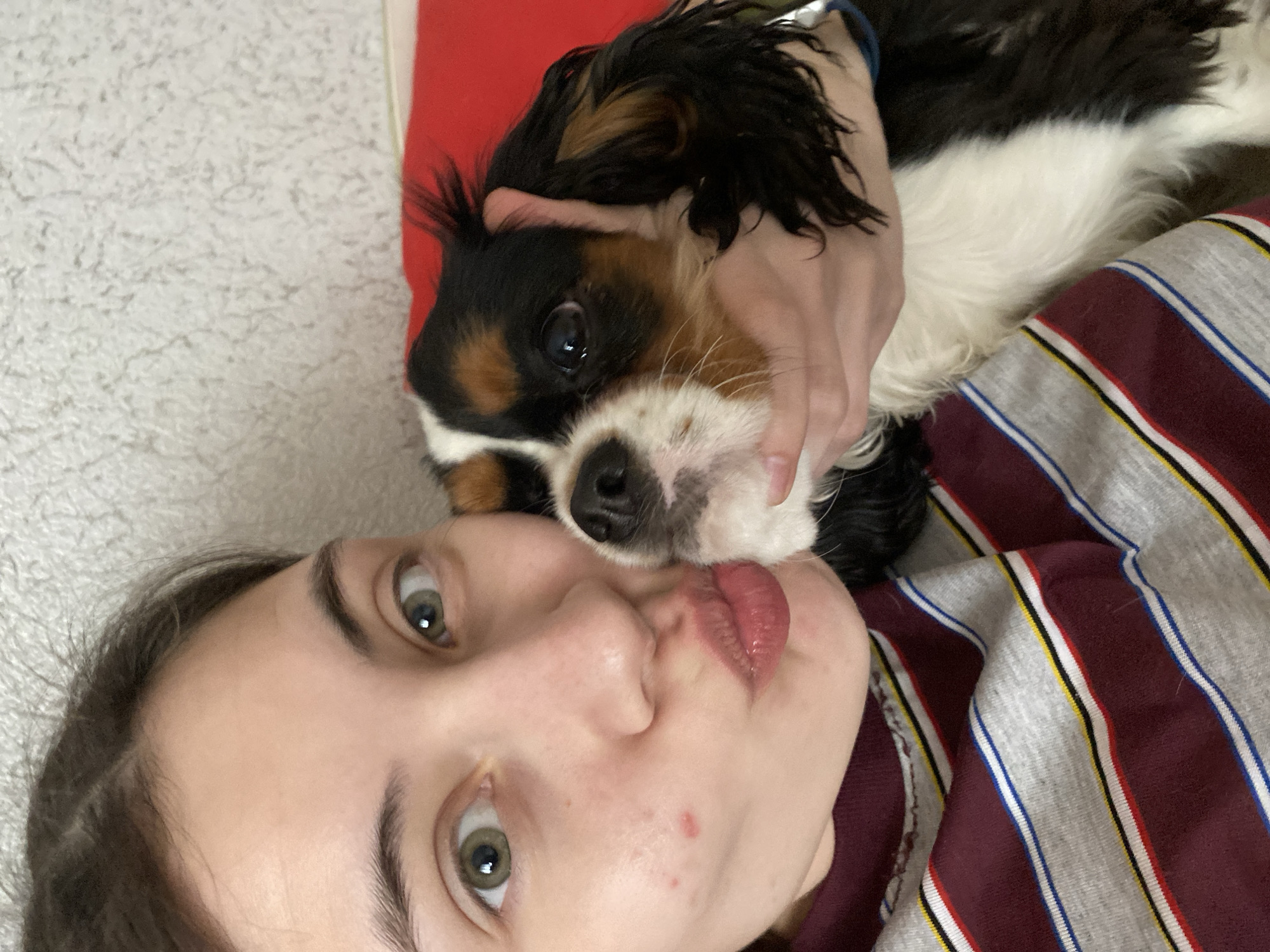 Woman and dog share quiet morning moment in Votkinsk
