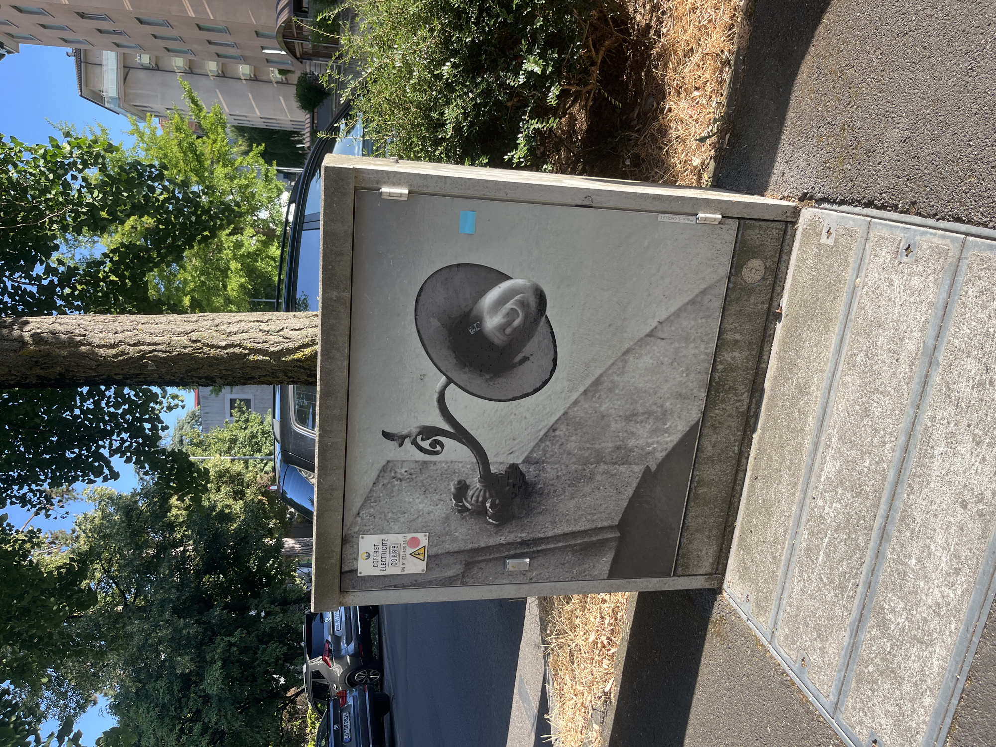 Street art, flowers, and small details along a Geneva sidewalk